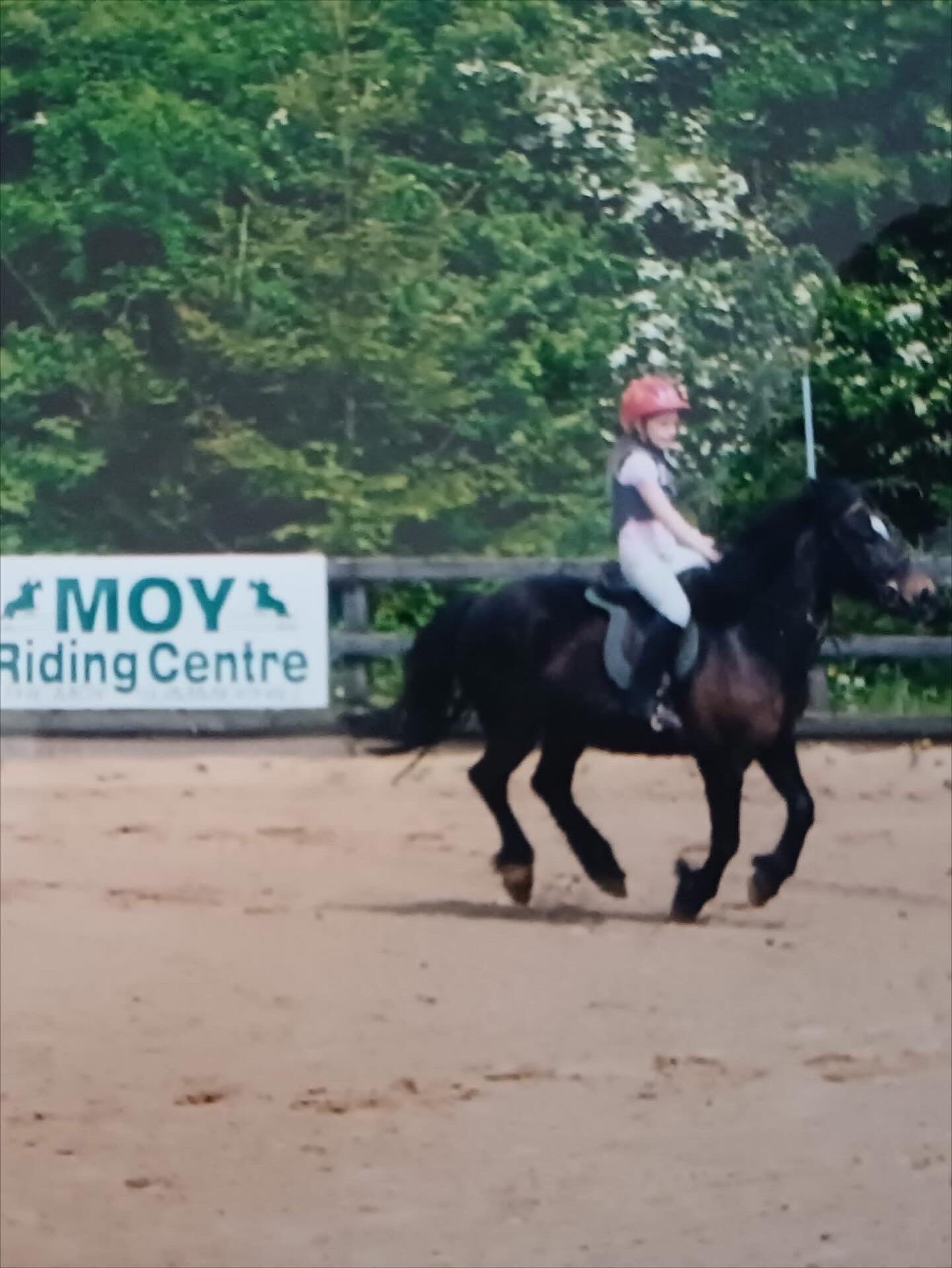 Moy Riding Centre | Summerhill