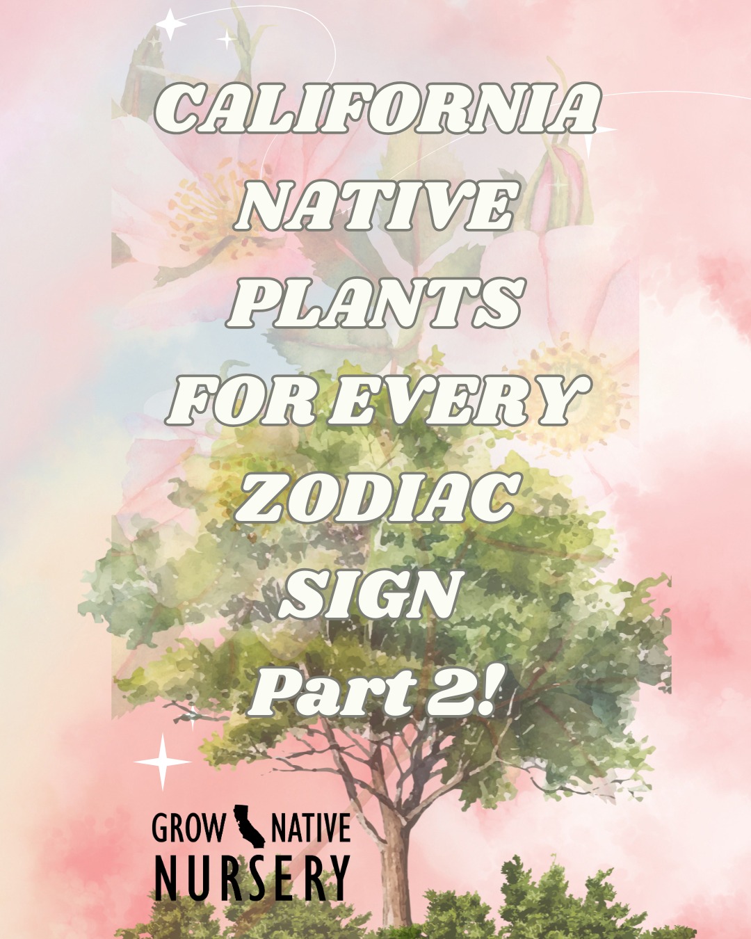 🌸Part 2🌸 Native plants for every... - Grow Native Nursery | Facebook