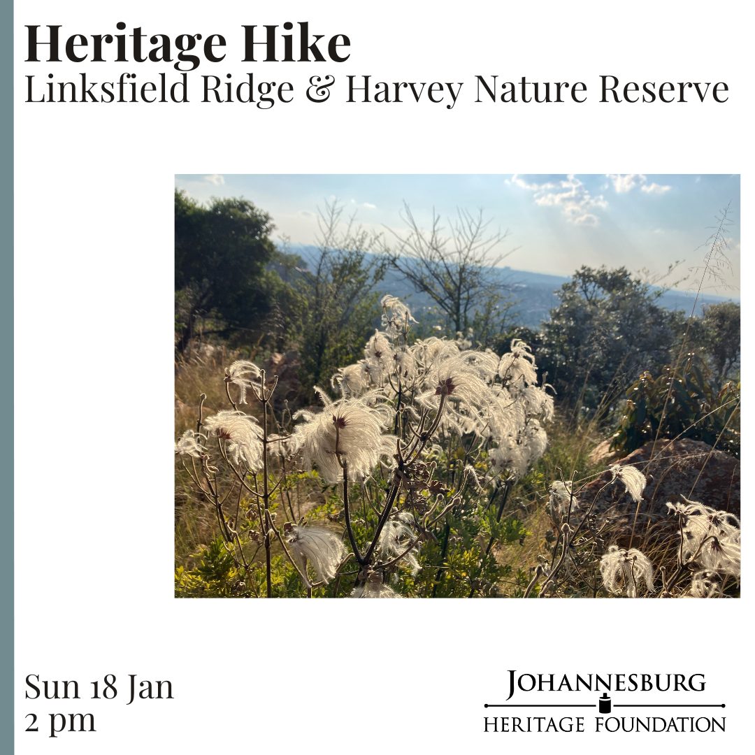 Johannesburg - Joburg’s ridges are its defining feature and the ...