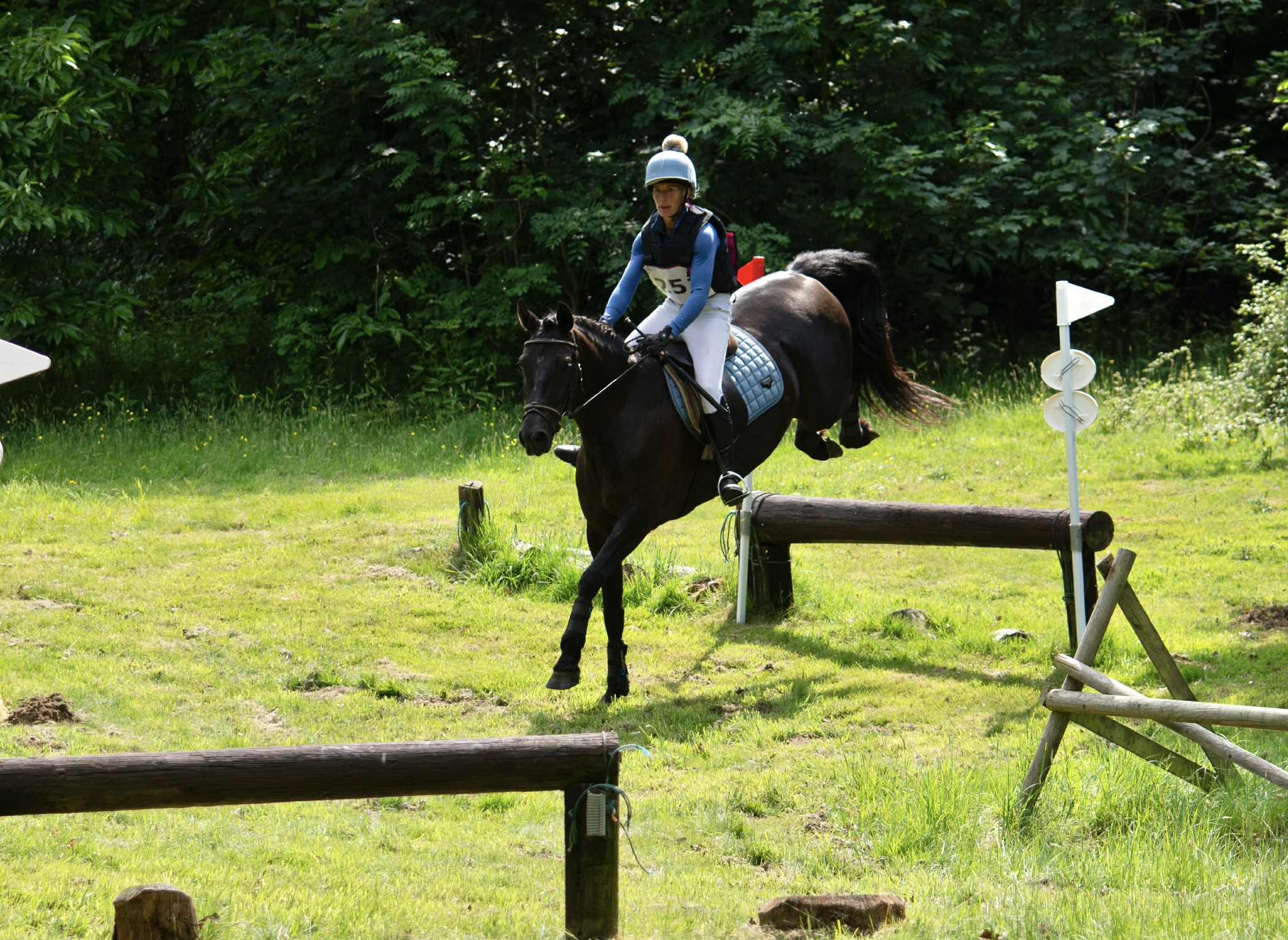 Mistrals Spanish Stud - Palominos, Silver dapple & Buckskin Andalusians ...
