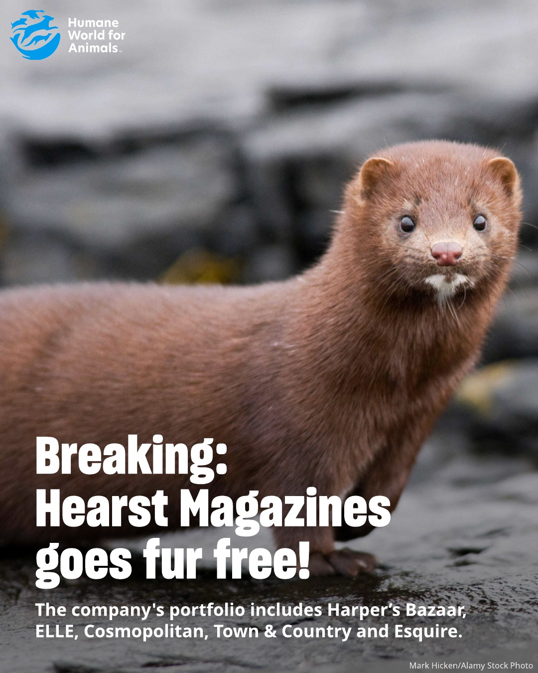 Humane - Hearst Magazines, in collaboration with Humane World for ...
