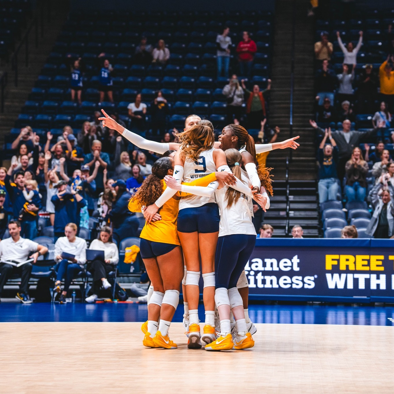WVU Volleyball - The block that sparked the celebration! 🎉... | Facebook