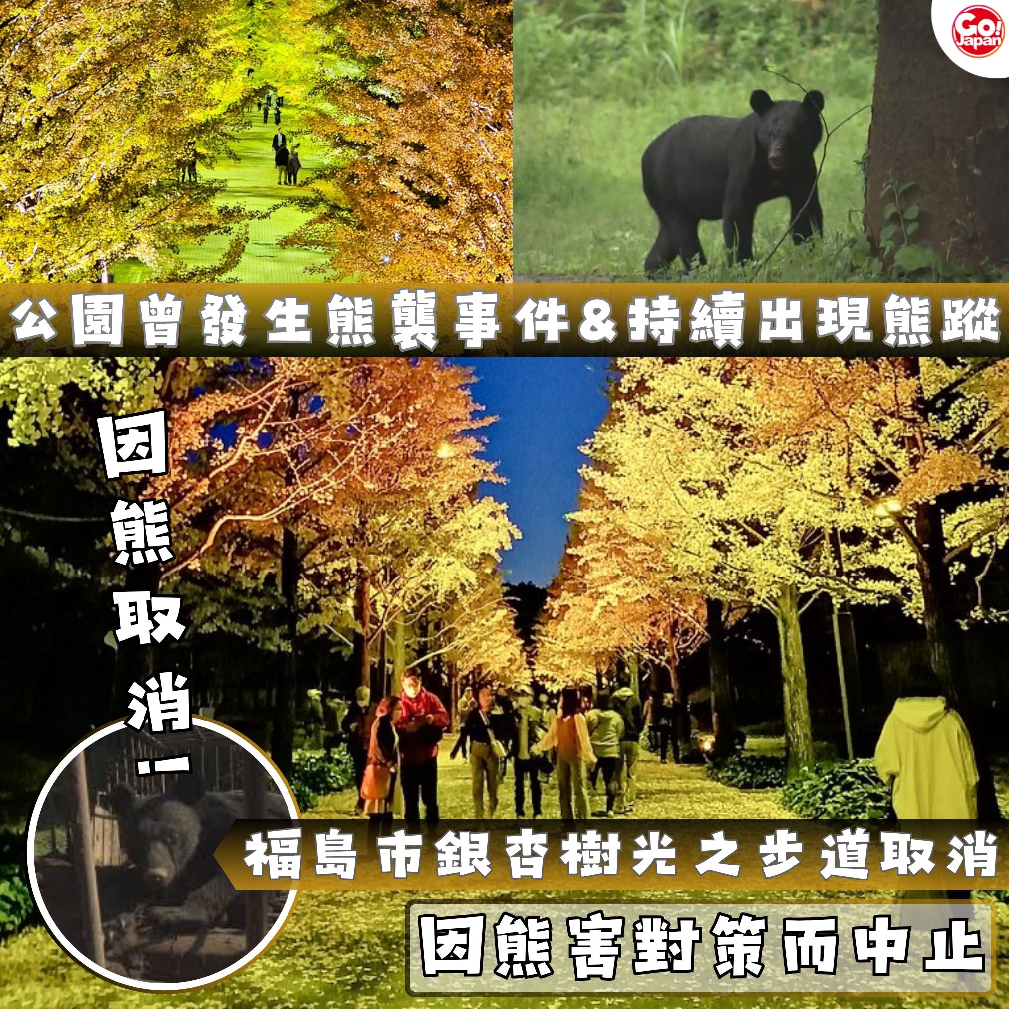 Gojapan去日本by - 【遊日情報｜福島市銀杏樹光之步道取消・因熊害對策而中止...公園曾發生熊傷人事件&持續出現熊蹤！！】 福島市綜合 ...