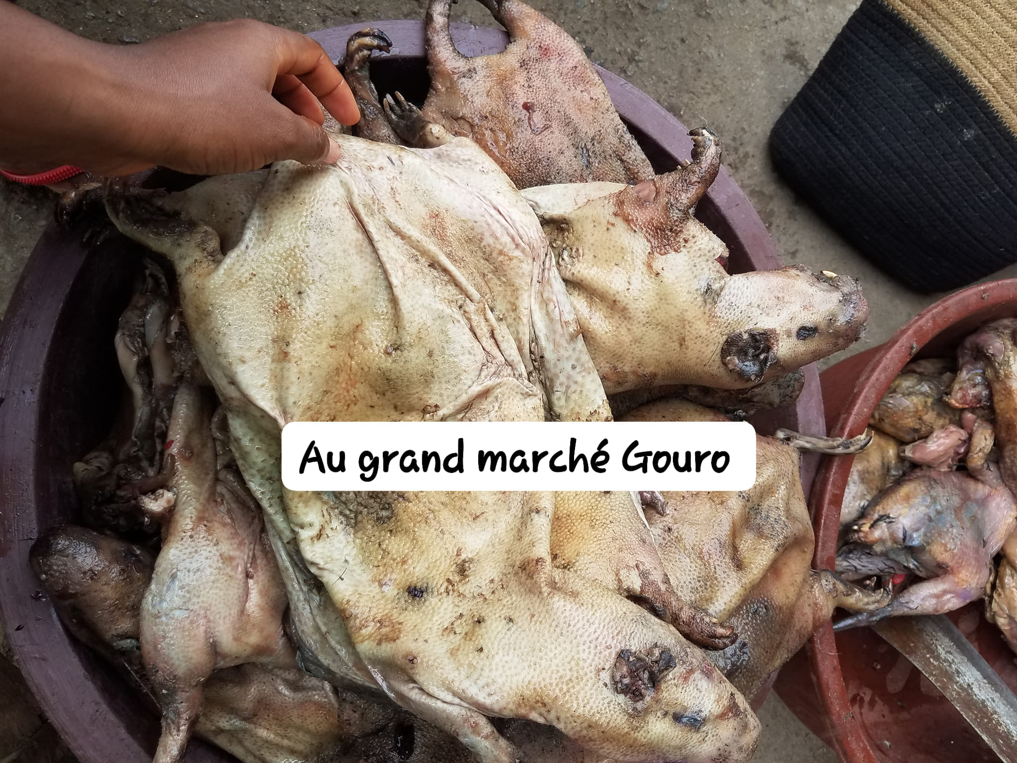 Au Grand Marché Gouro