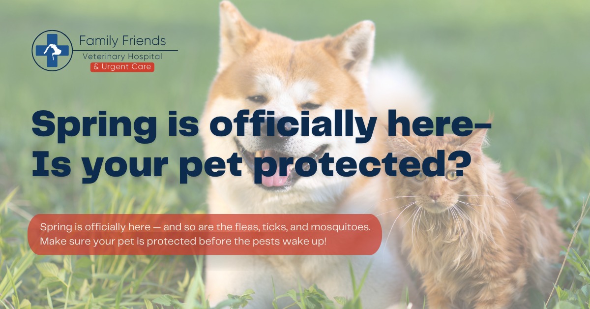 Family - Springtime brings warmer weather — and unwanted pests🦟Stay a ...