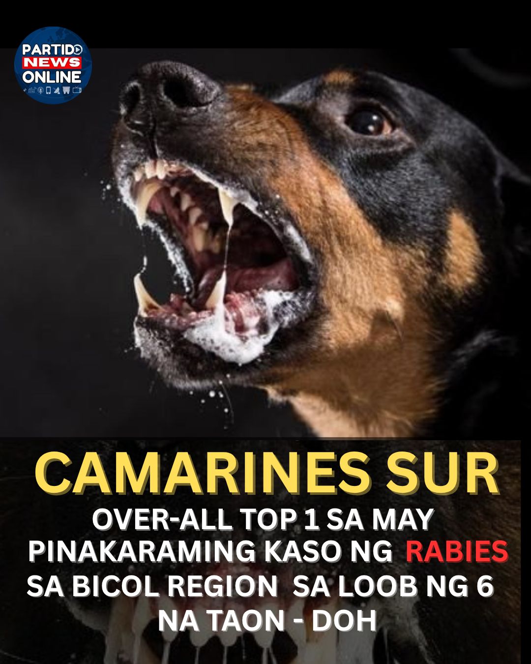 Partido - CAMARINES SUR OVER-ALL TOP 1 SA MAY PINAKAMARAMING KASO NG ...
