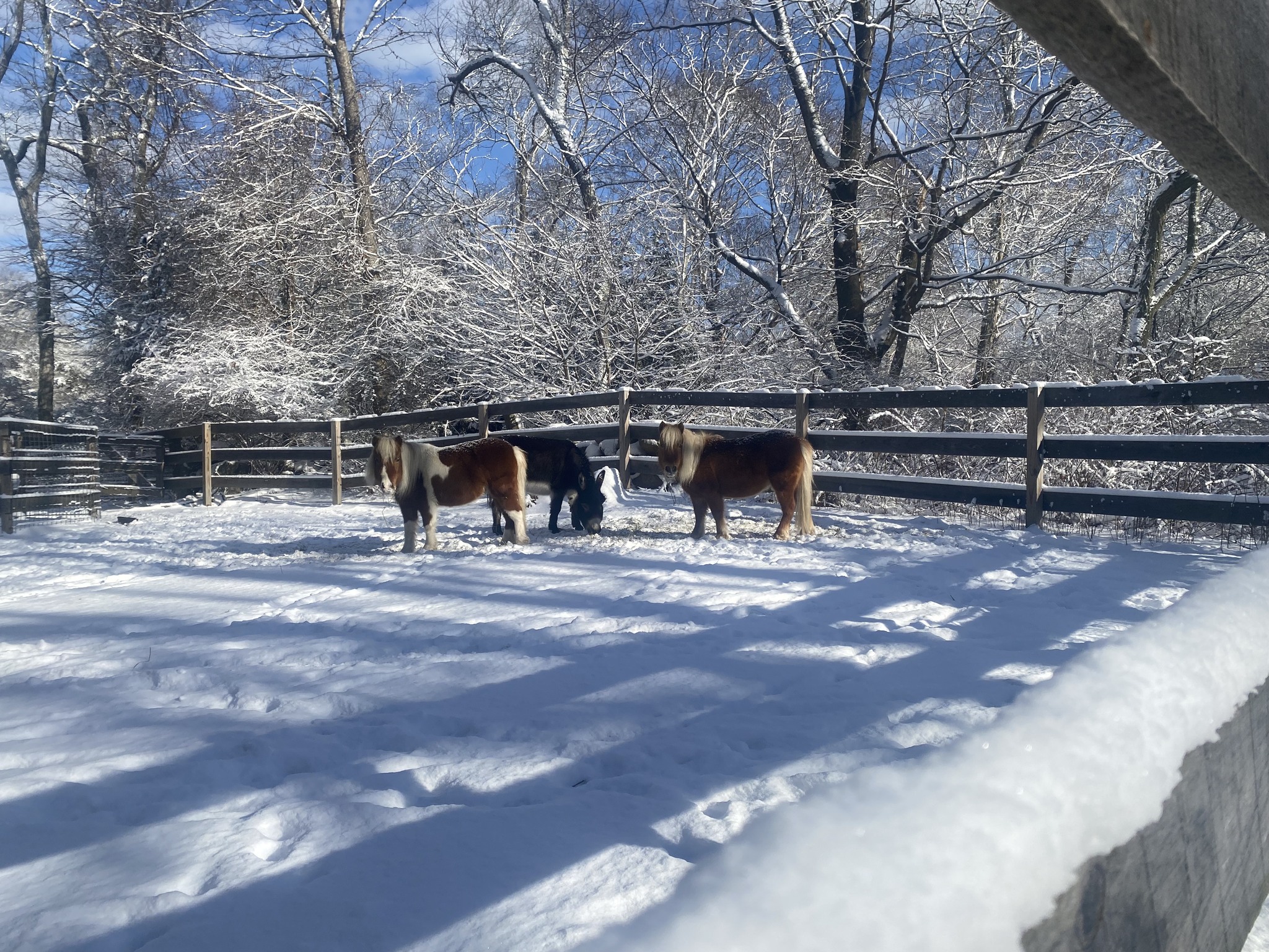 The Gentle Farm - The Gentle Farm added a new photo.