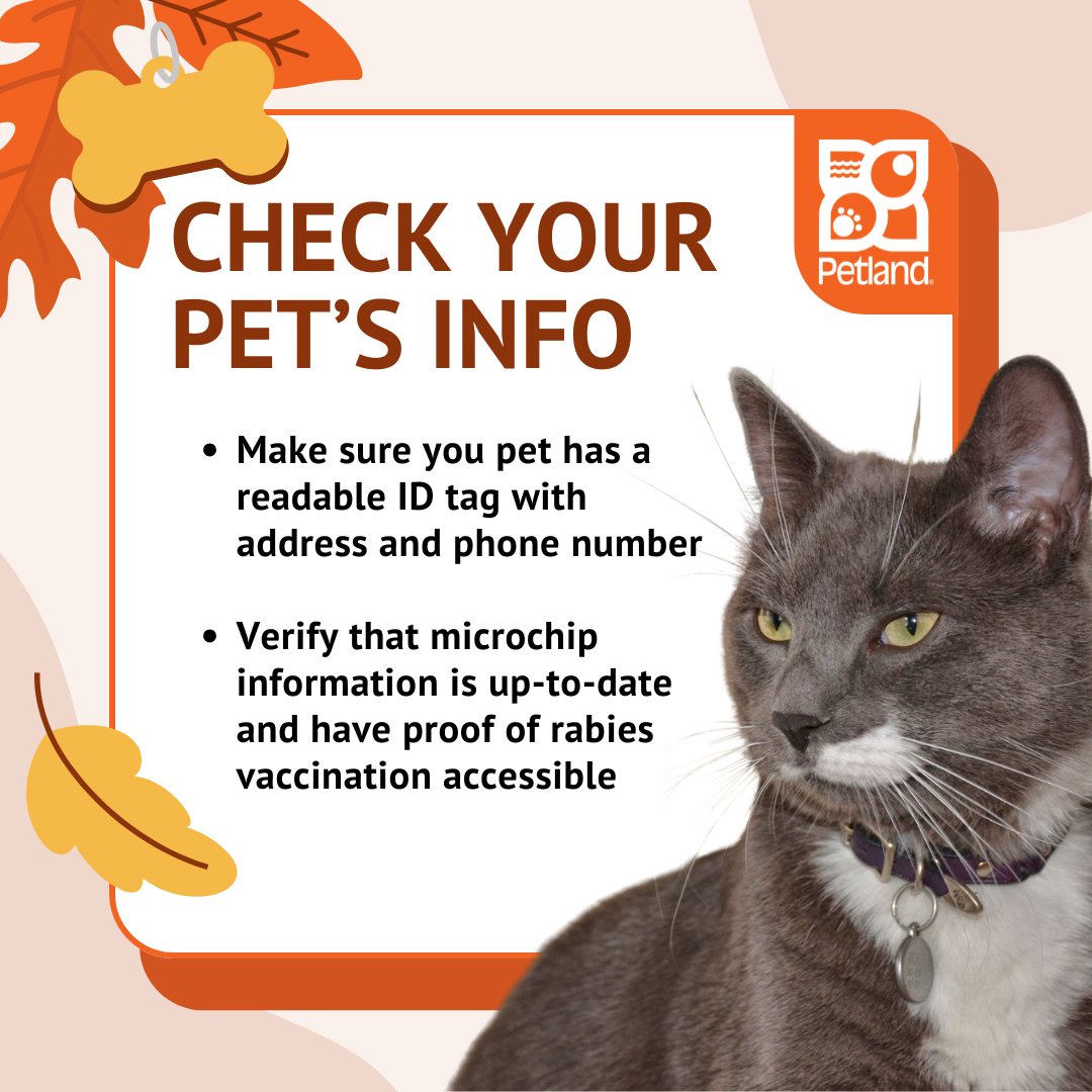 Petland Fairfield added a new photo. - Petland Fairfield