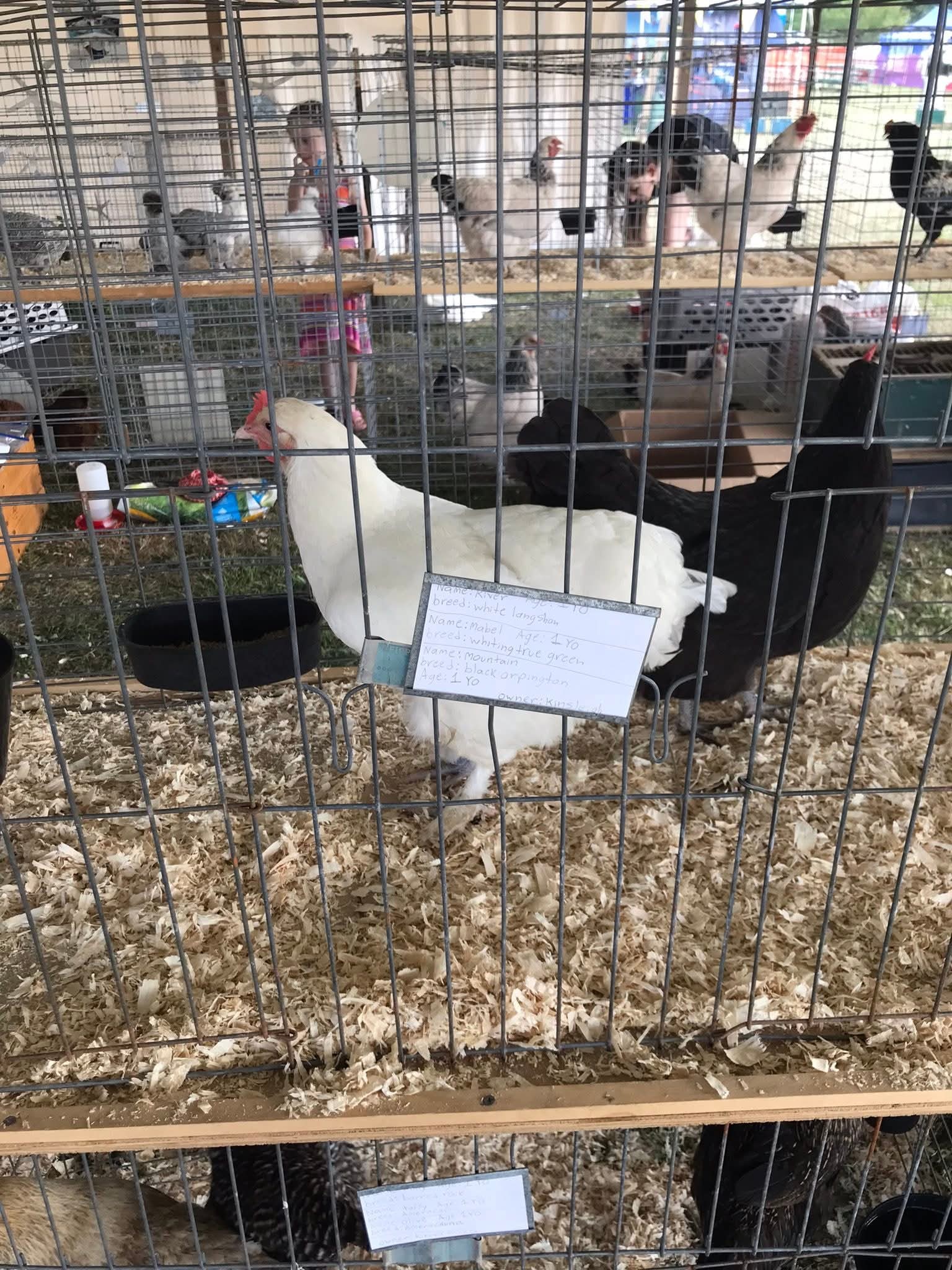 Lilac Hill Farm | Earlton NY