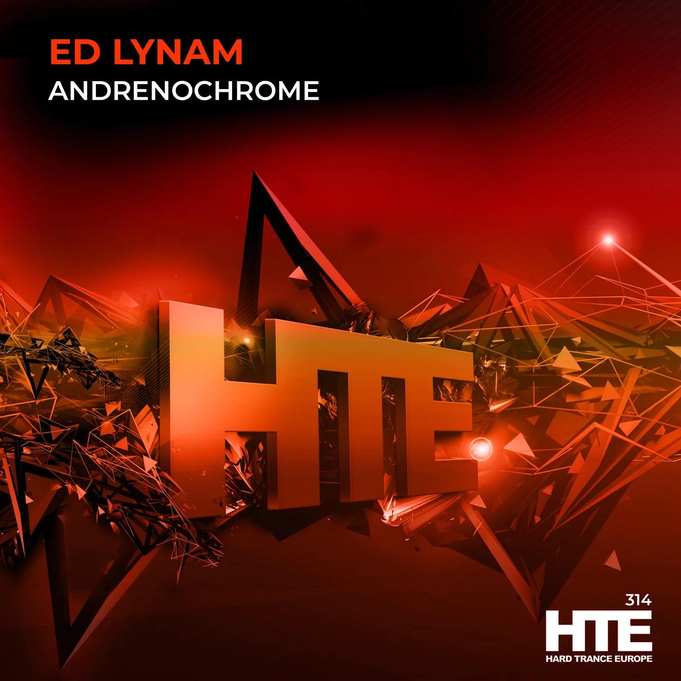 Ed Lynam | Dublin