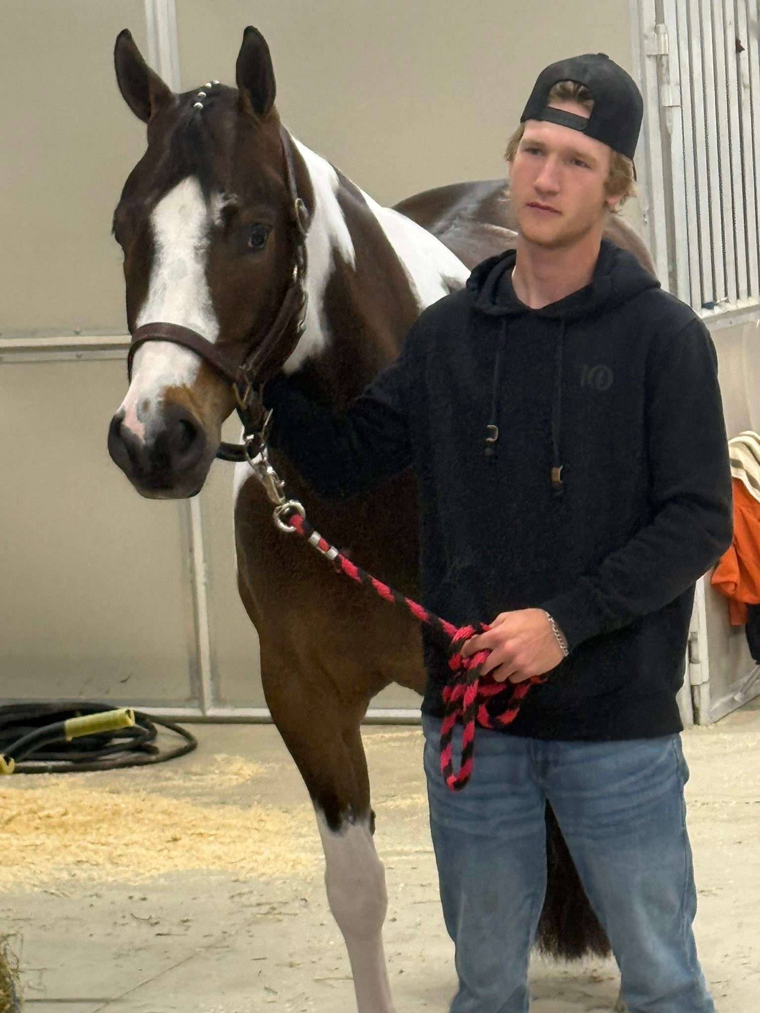 Carousel Stables added a new photo — at... - Carousel Stables