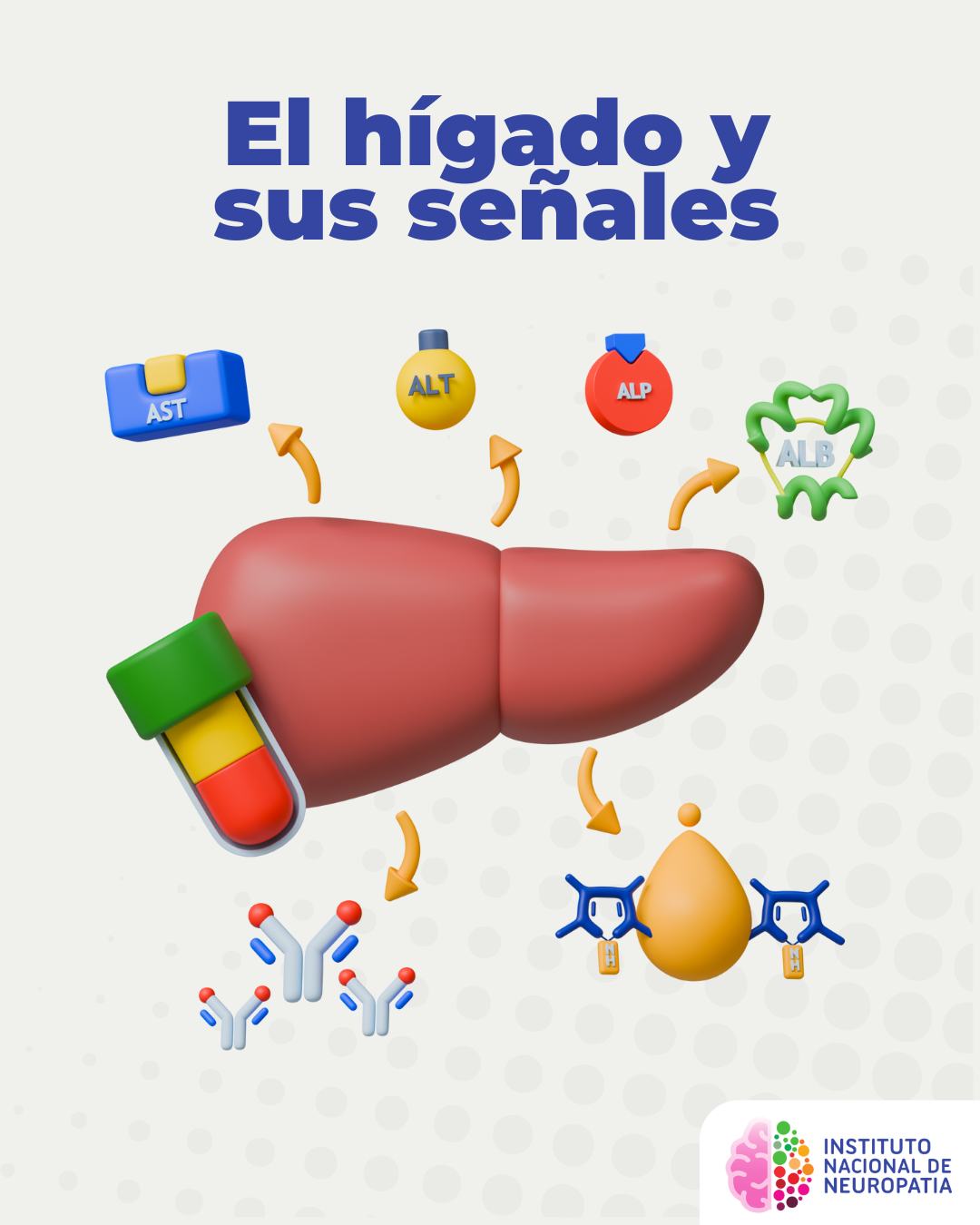 Instituto - 🧠 ¿Sabías que tu hígado habla a través de tu sangre? Cuando ...