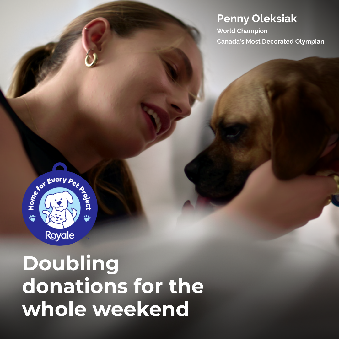 SOS - Did you know there are over 100,000 cats and dogs in need of ...