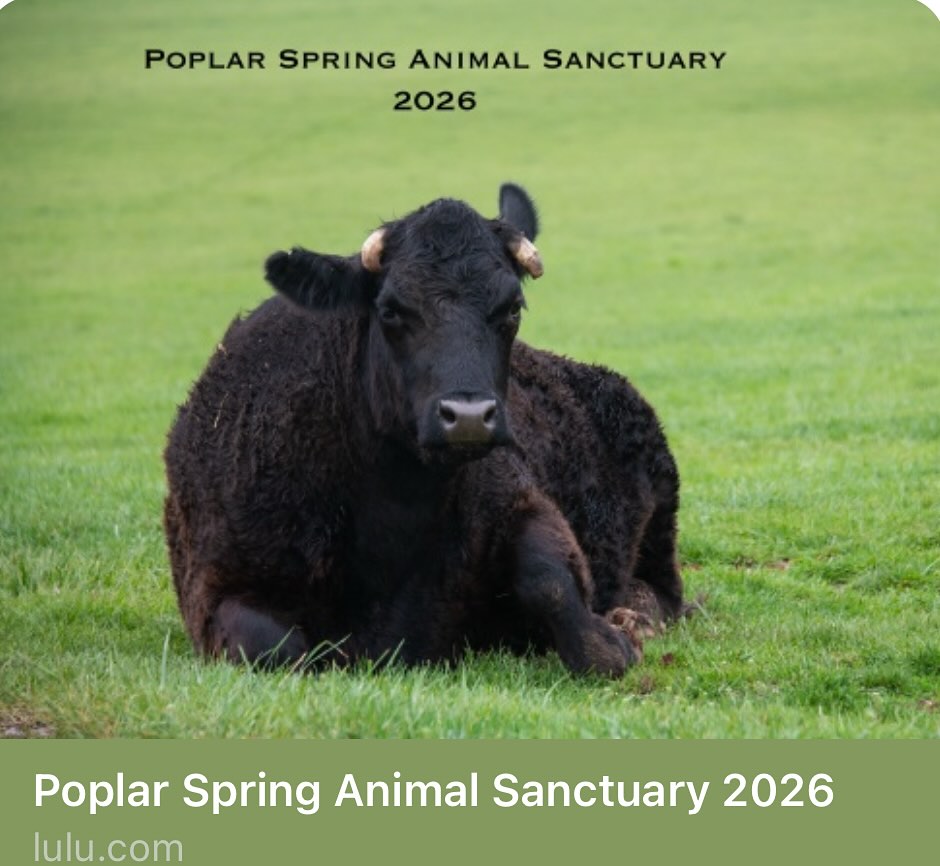 Poplar Spring Animal Sanctuary | Poolesville MD