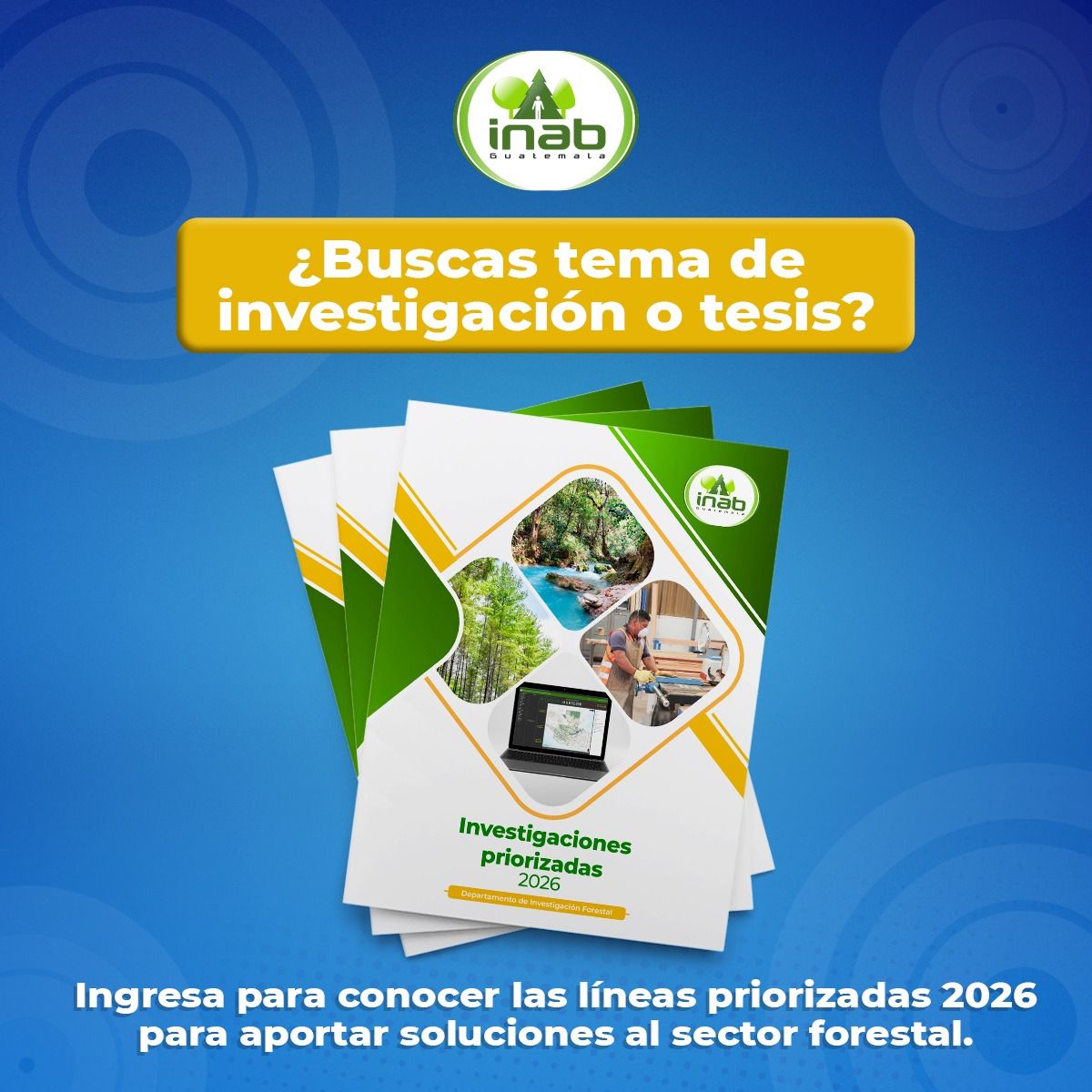 INAB Guatemala - 🎓🌿 ¿𝗕𝘂𝘀𝗰𝗮𝘀 𝘁𝗲𝗺𝗮 𝗱𝗲 𝗶𝗻𝘃𝗲𝘀𝘁𝗶𝗴𝗮𝗰𝗶𝗼́𝗻 𝗼... | Facebook