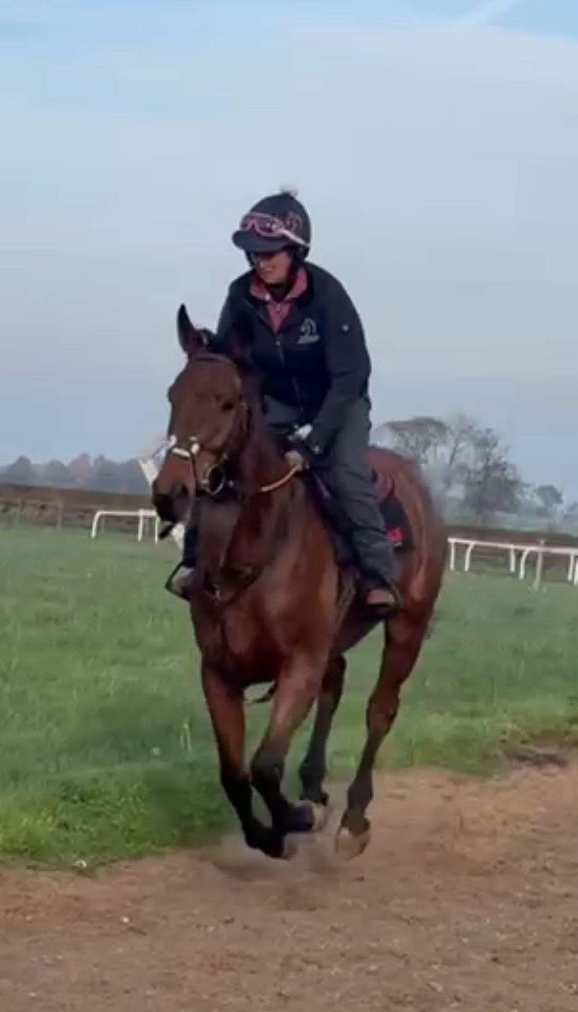 Thorpe - We’re getting ready to go racing! 🏇 The first entries are in ...