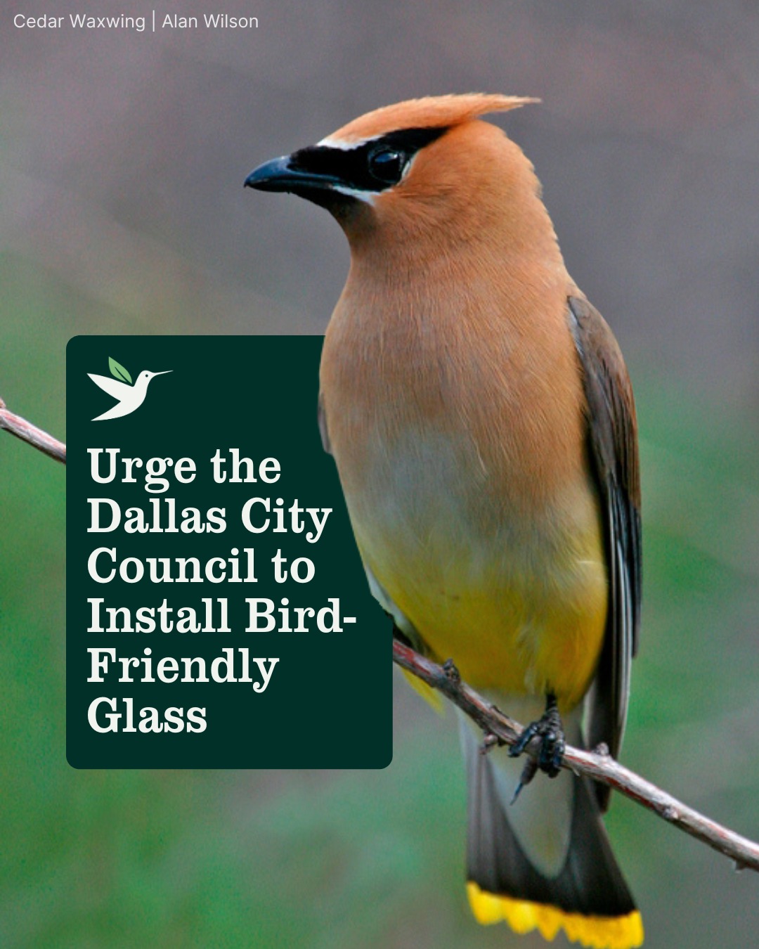 American Bird Conservancy - We're proud to have supported creation of ...