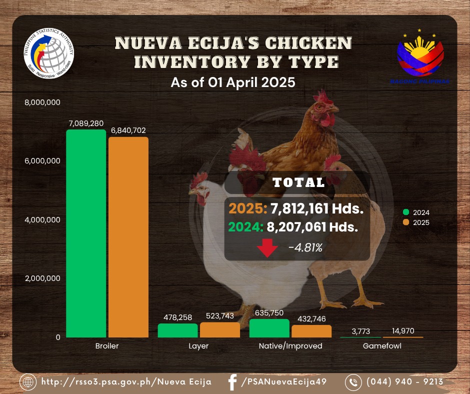 Nueva Ecija’s Chicken Inventory by... - PSA Nueva Ecija Page | Facebook
