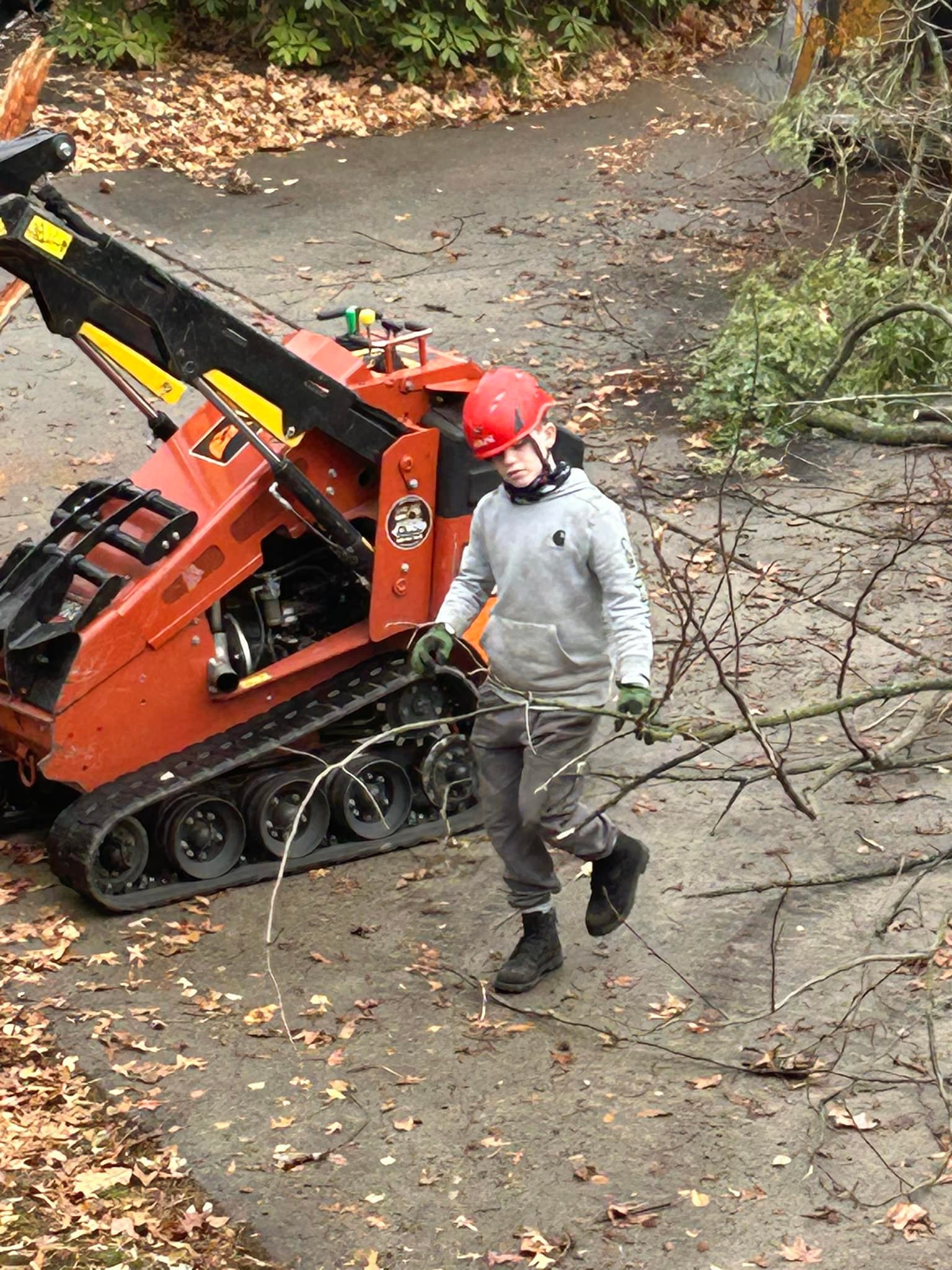Sitemapcdatahttpabckniqoocomfiguemax Tree Service Somerdale Nj