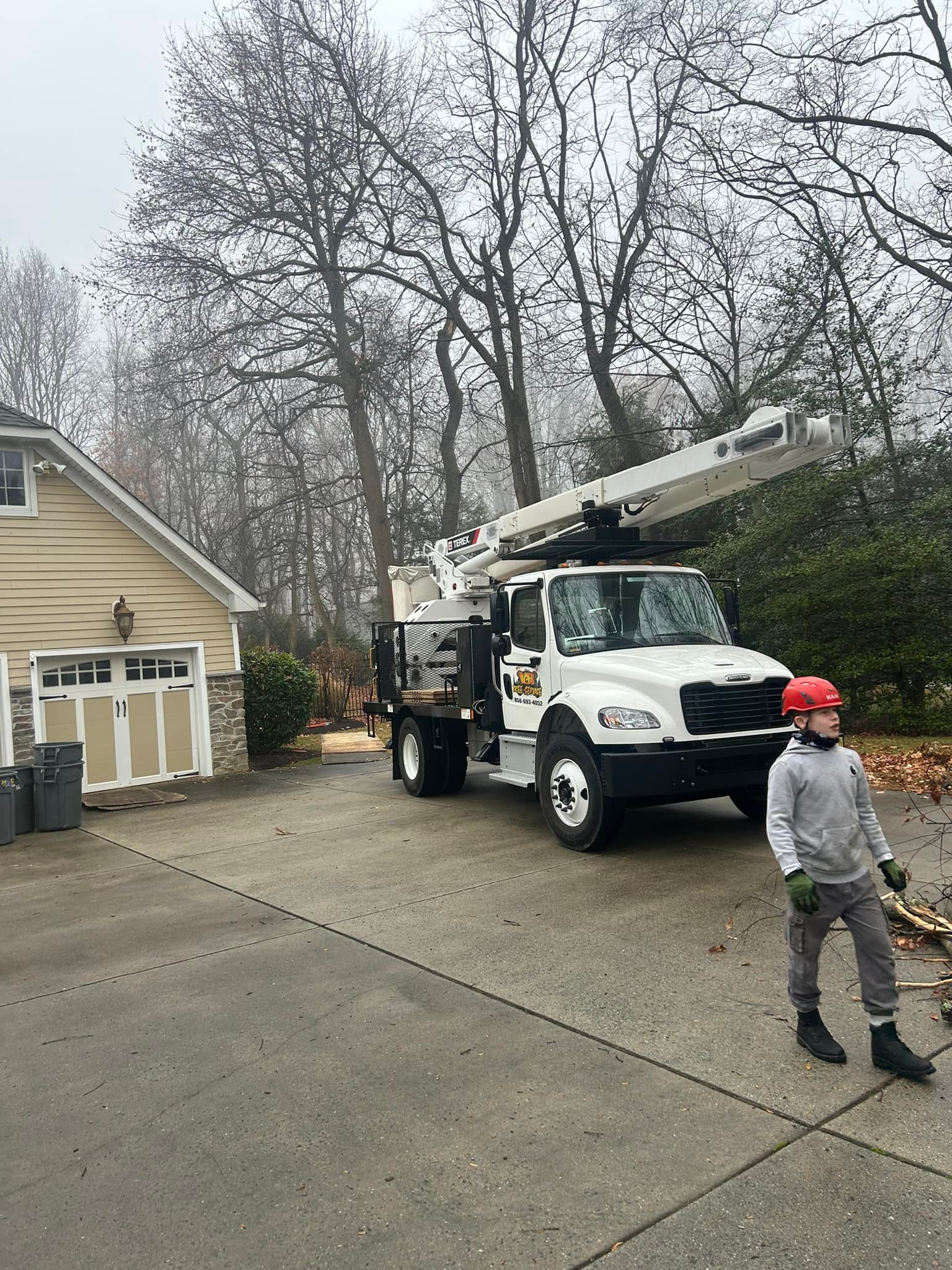 Sitemapcdatahttpabckniqoocomfiguemax Tree Service Somerdale Njnull