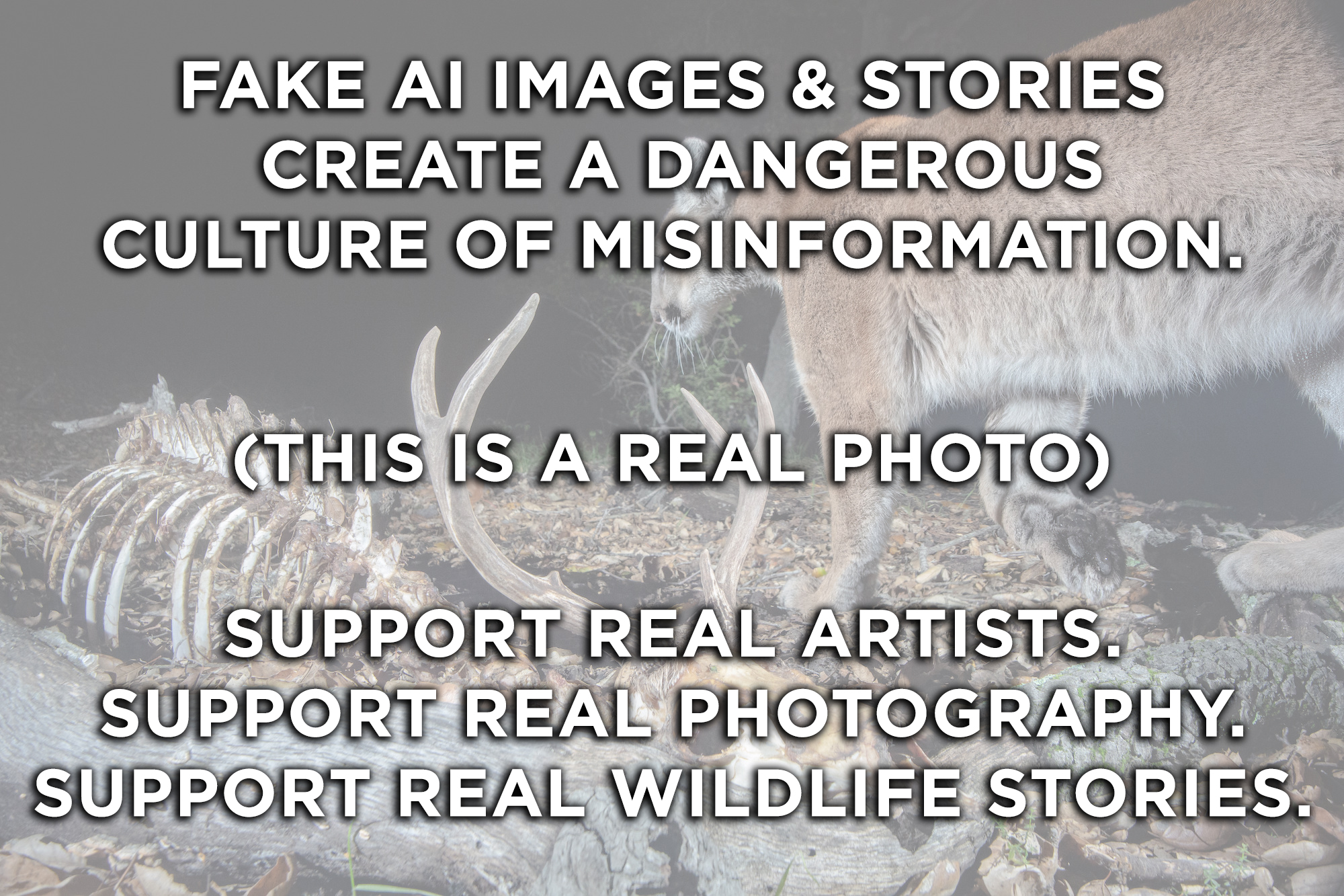 Stay - Are you tired of fake AI photos, videos, and stories? AI is ...