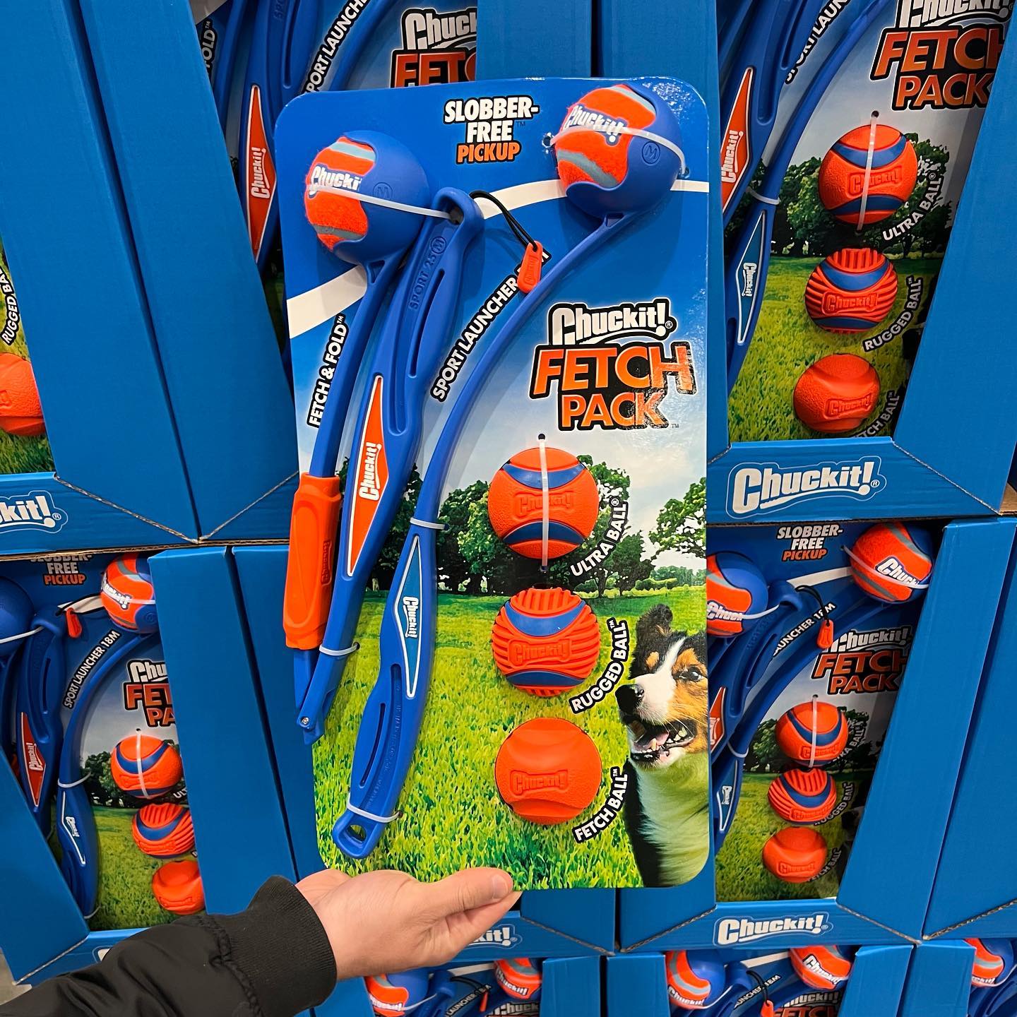 Costco Buys - 🐶Chuckit Fetch Packs are at Costco! This... | Facebook