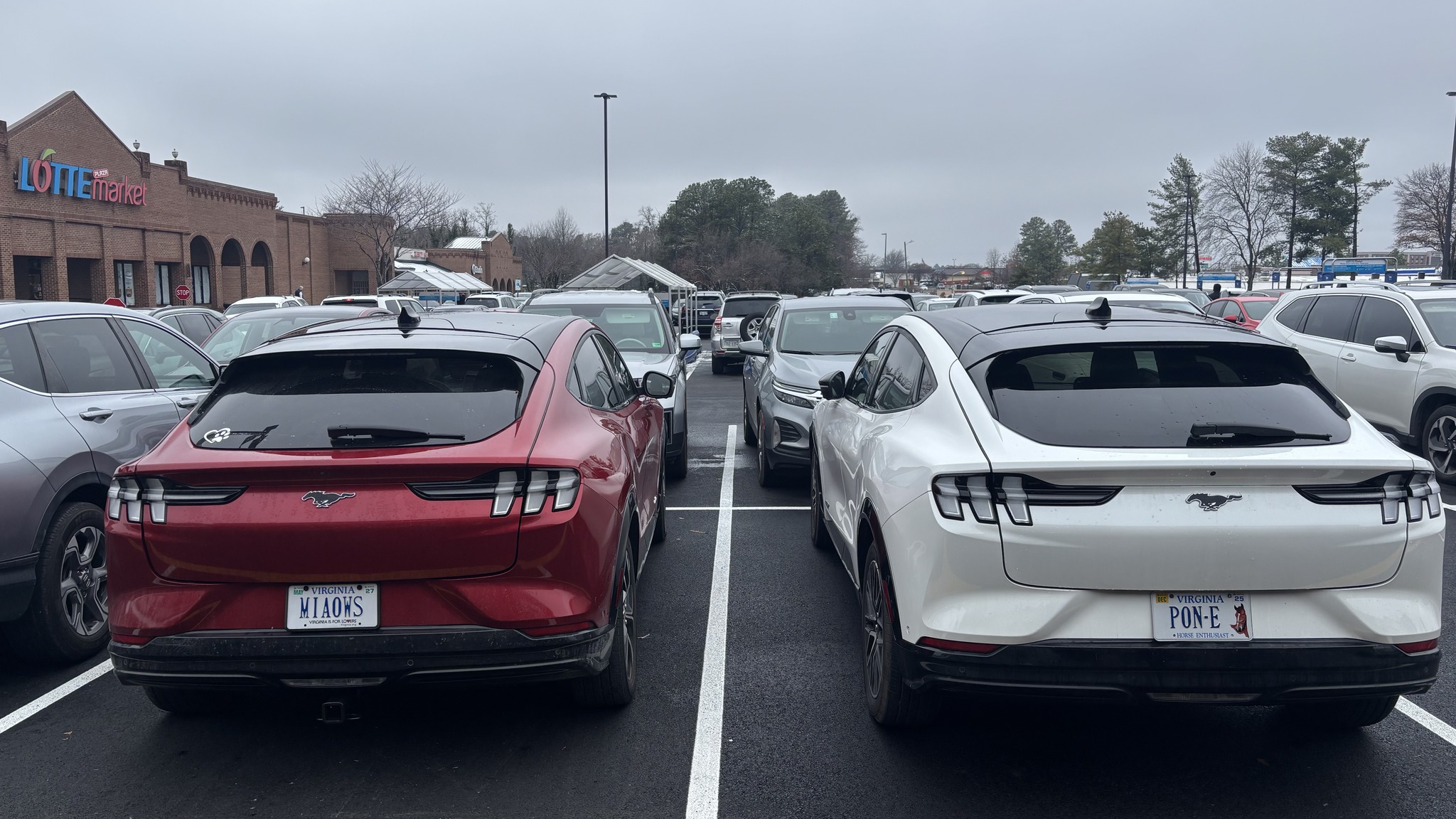 Drive Electric RVA
