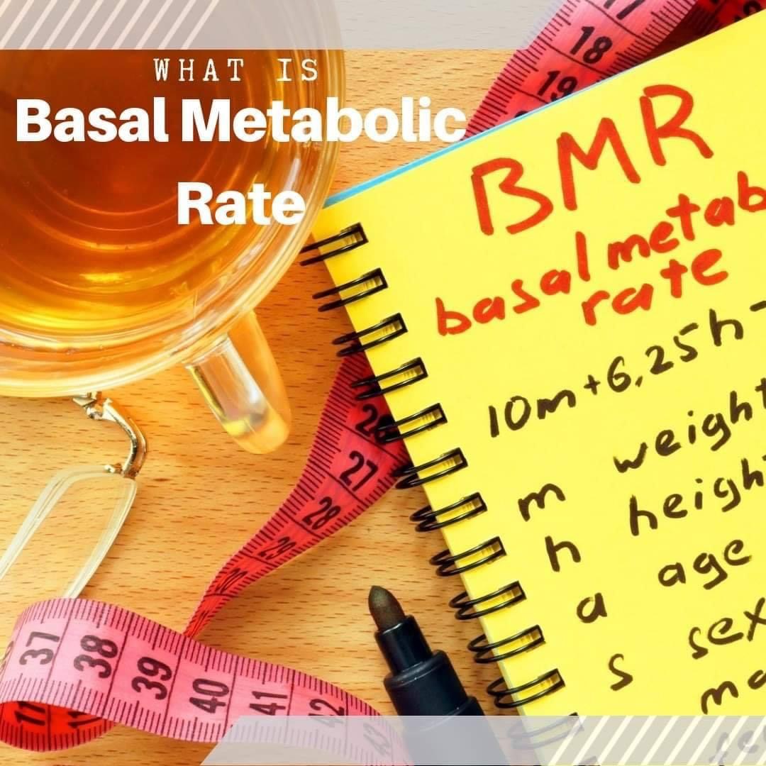 National Personal Training Institute Of Massachusetts What Is Basal Metabolic Rate And Why Does It Matter The Basal Metabolic Rate Bmr Is The Rate Of Energy Expenditure Of A Person At