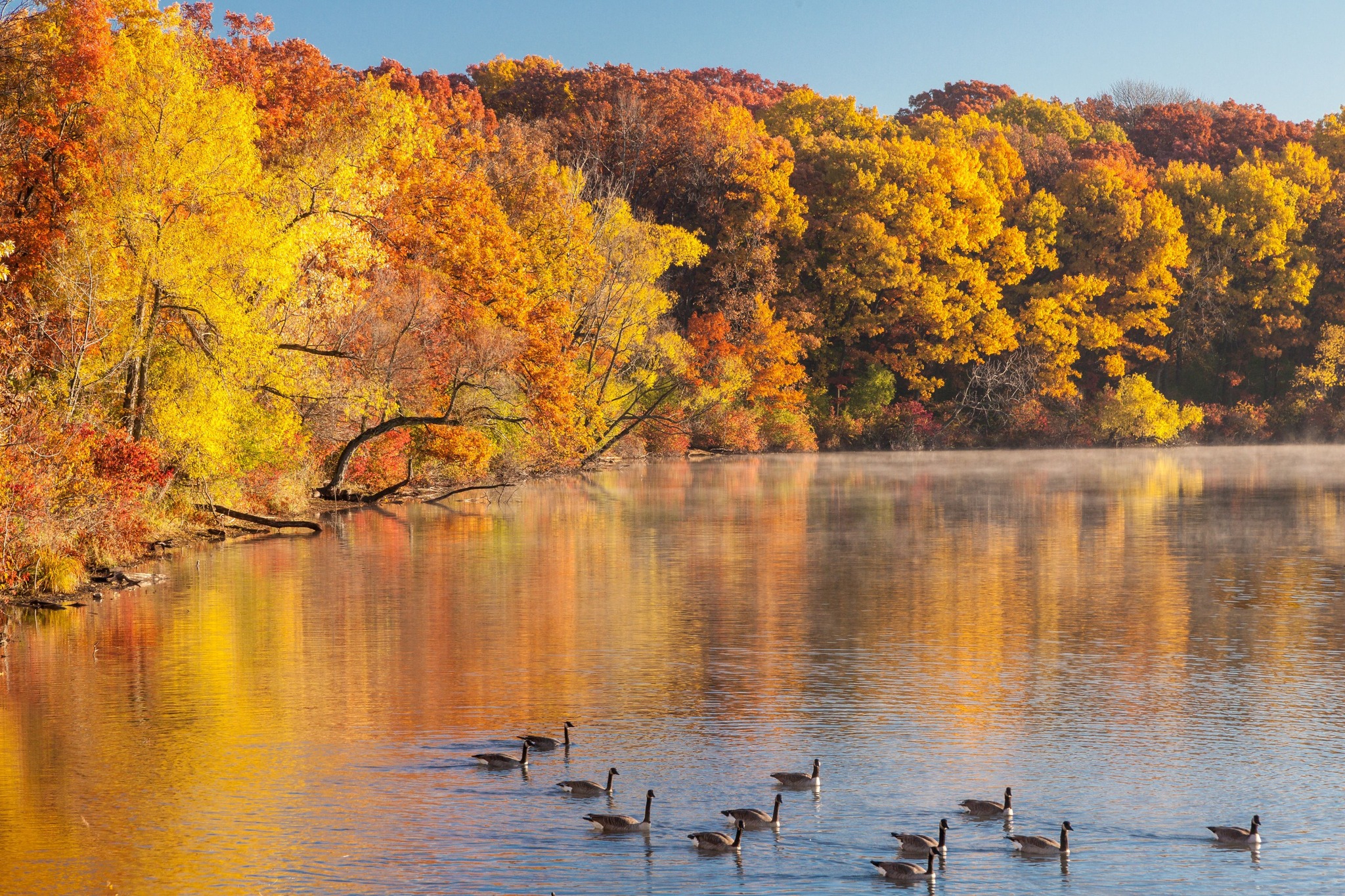 Fall in the... - Forest Preserve District of Cook County | Facebook