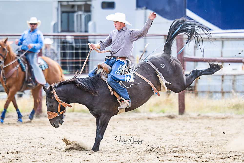 NZ - Local cowboy Nate Robertson marks 66pts on 'Beetle Juice' to win ...