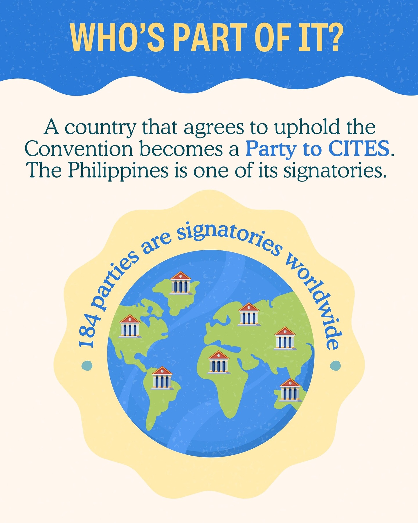 Marine Wildlife... - Marine Wildlife Watch of the Philippines