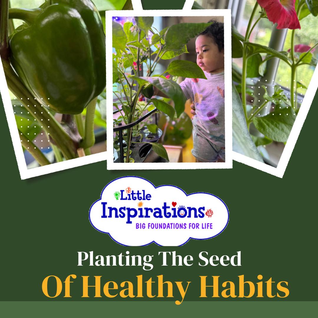 Little Inspirations Child... - Little Inspirations Child Care