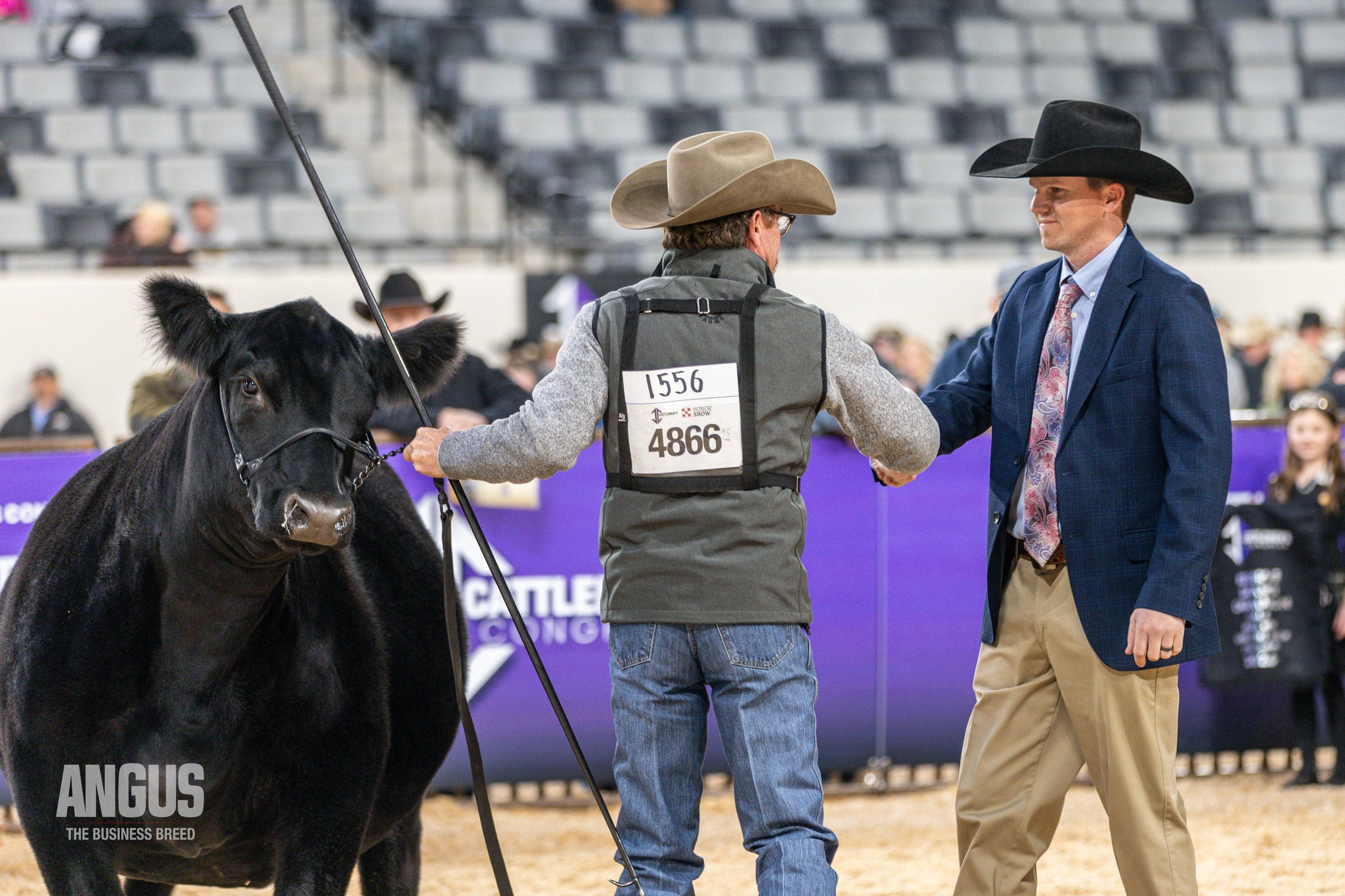 The Grand Champion Female at the 2026 National Western Phenotype 