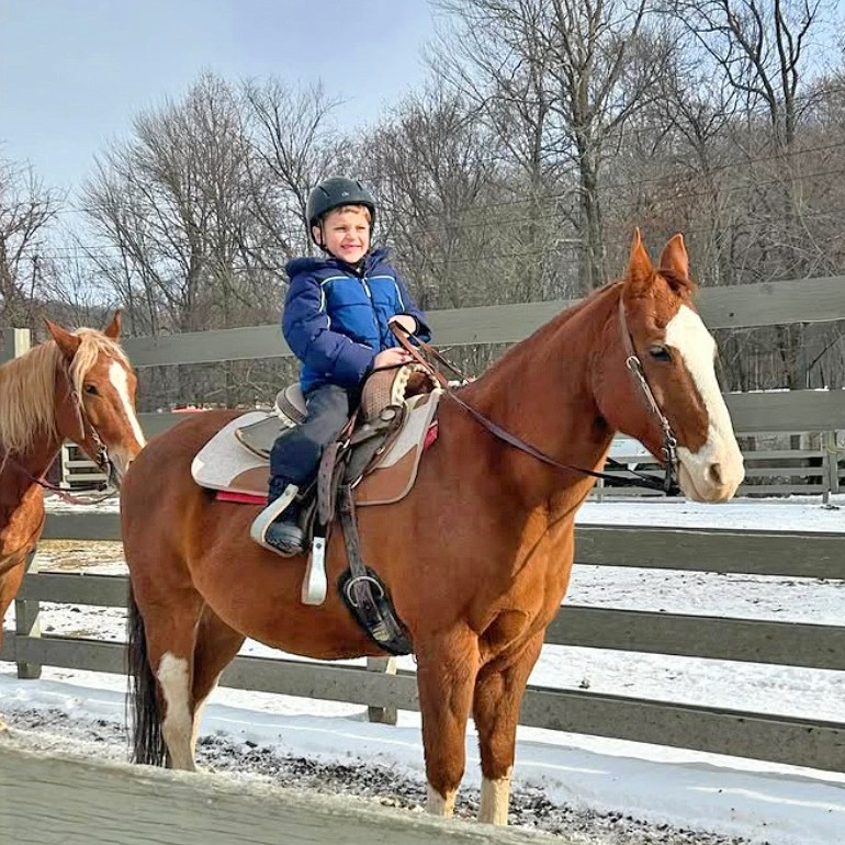 Rocking - Saddle up with Cappuccino for a Winter wonderland adventure ...