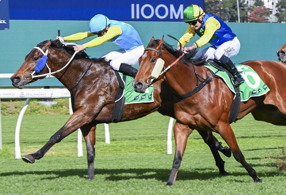Racing - “If everything goes to plan we’d like to concentrate on next ...
