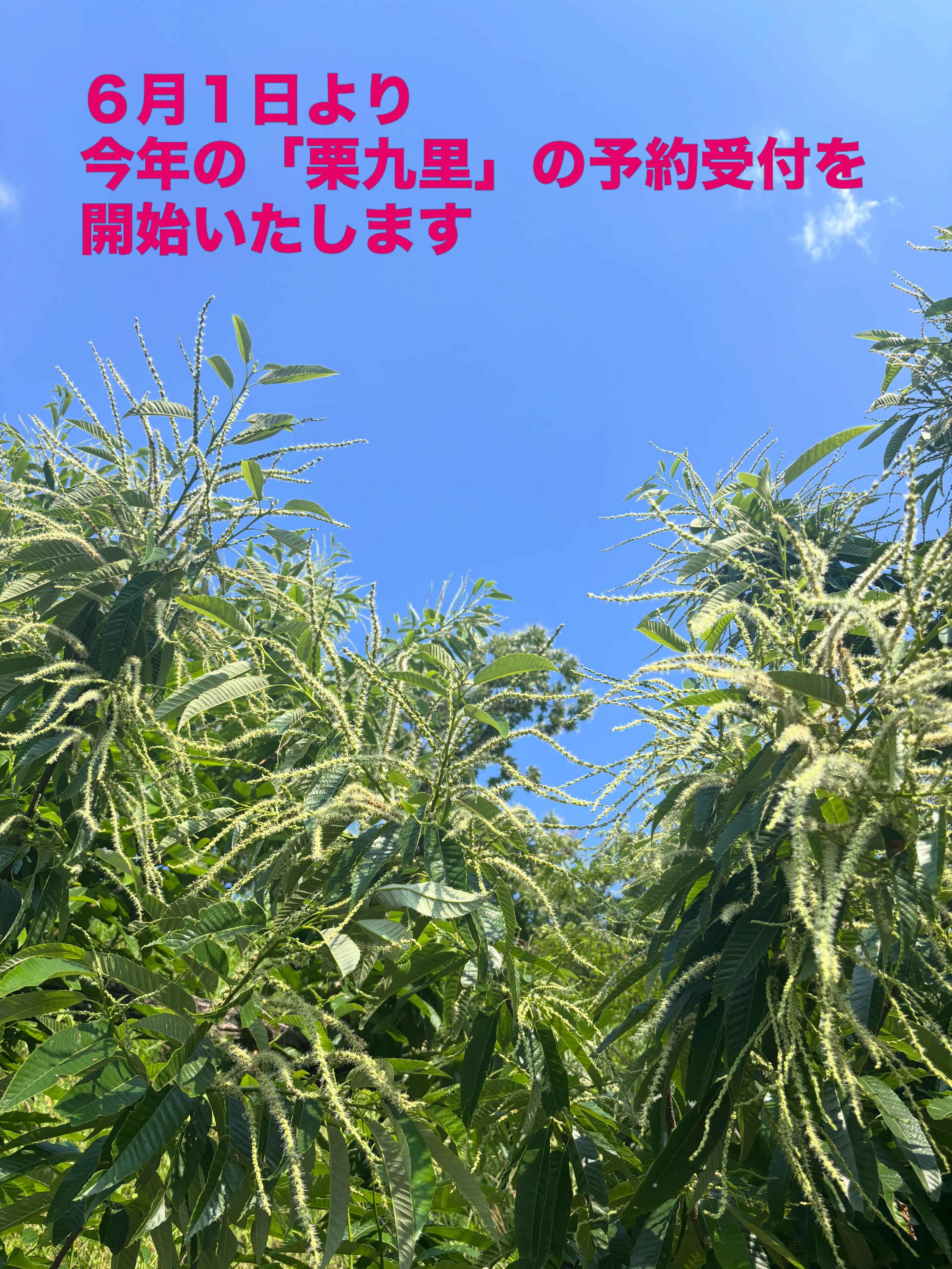 マロンハウス甲斐果樹園 (@kurikuri1399) • Facebook