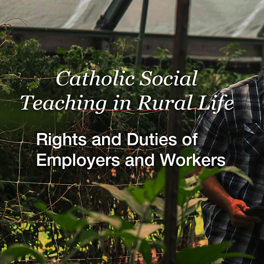 Workers in agriculture have the... - Catholic Rural Life | Facebook