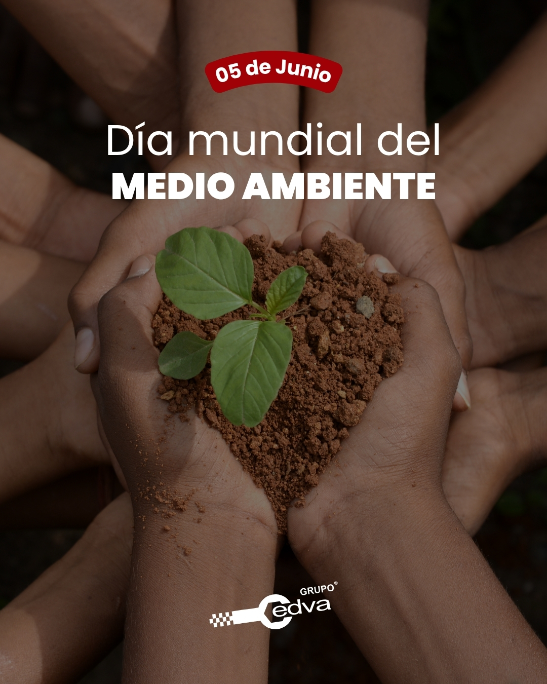 CEDVA - 🌍💚 5 de junio | Día Mundial del Medio Ambiente 🌱 Hoy recordamos ...