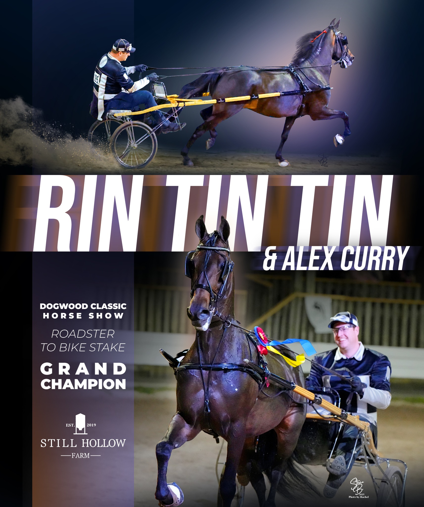 Rin Tin Tin wins Dogwood Classic roadster to bike grand champion