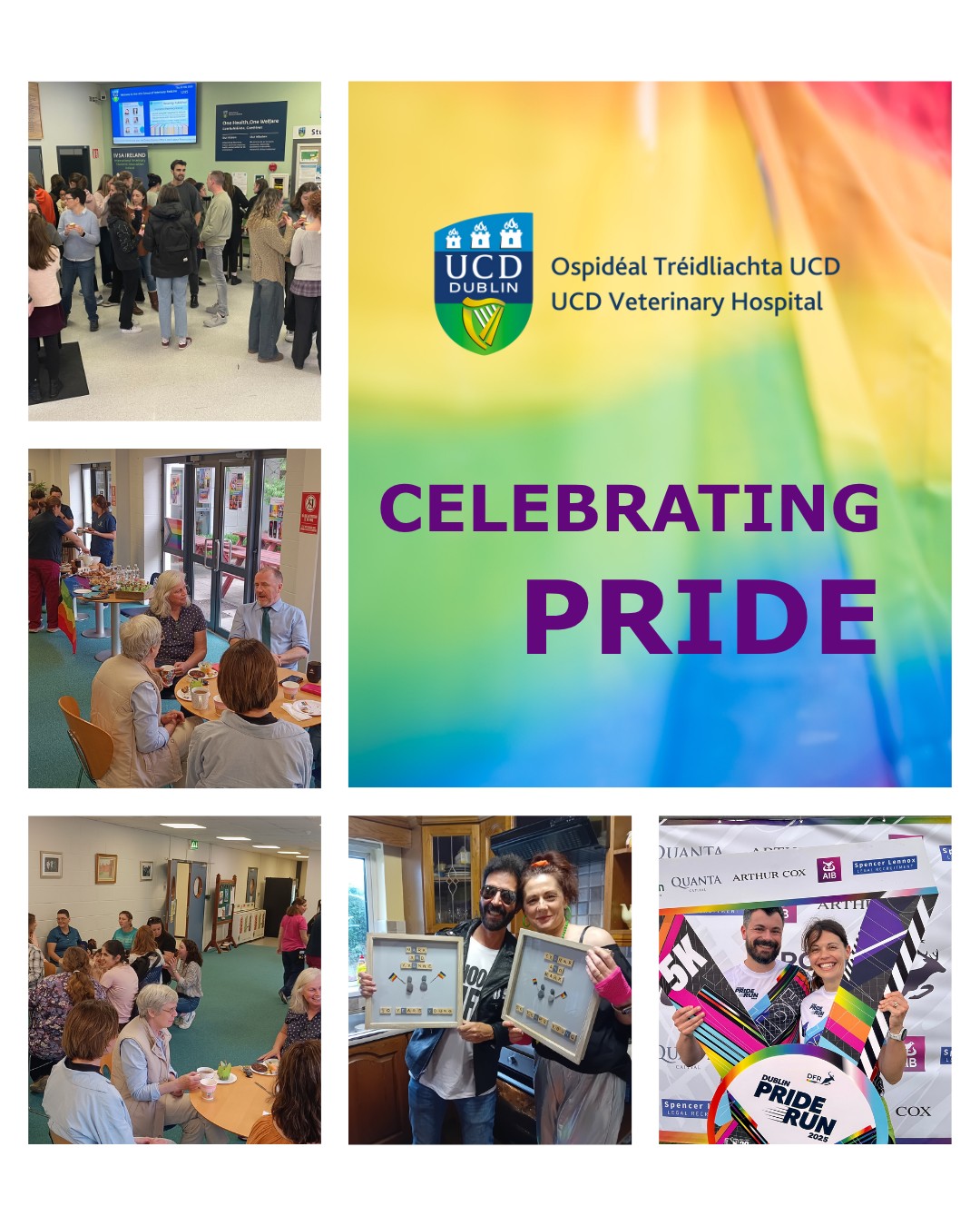 🌈 UCD Vet Hospital Celebrates... - UCD Veterinary Hospital | Facebook