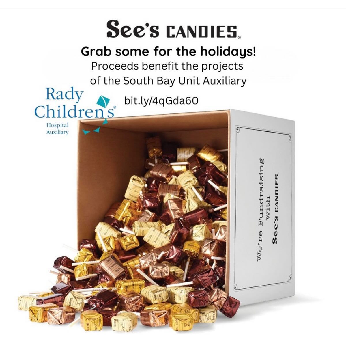 Rady Children's Hospital Auxiliary- Bonita