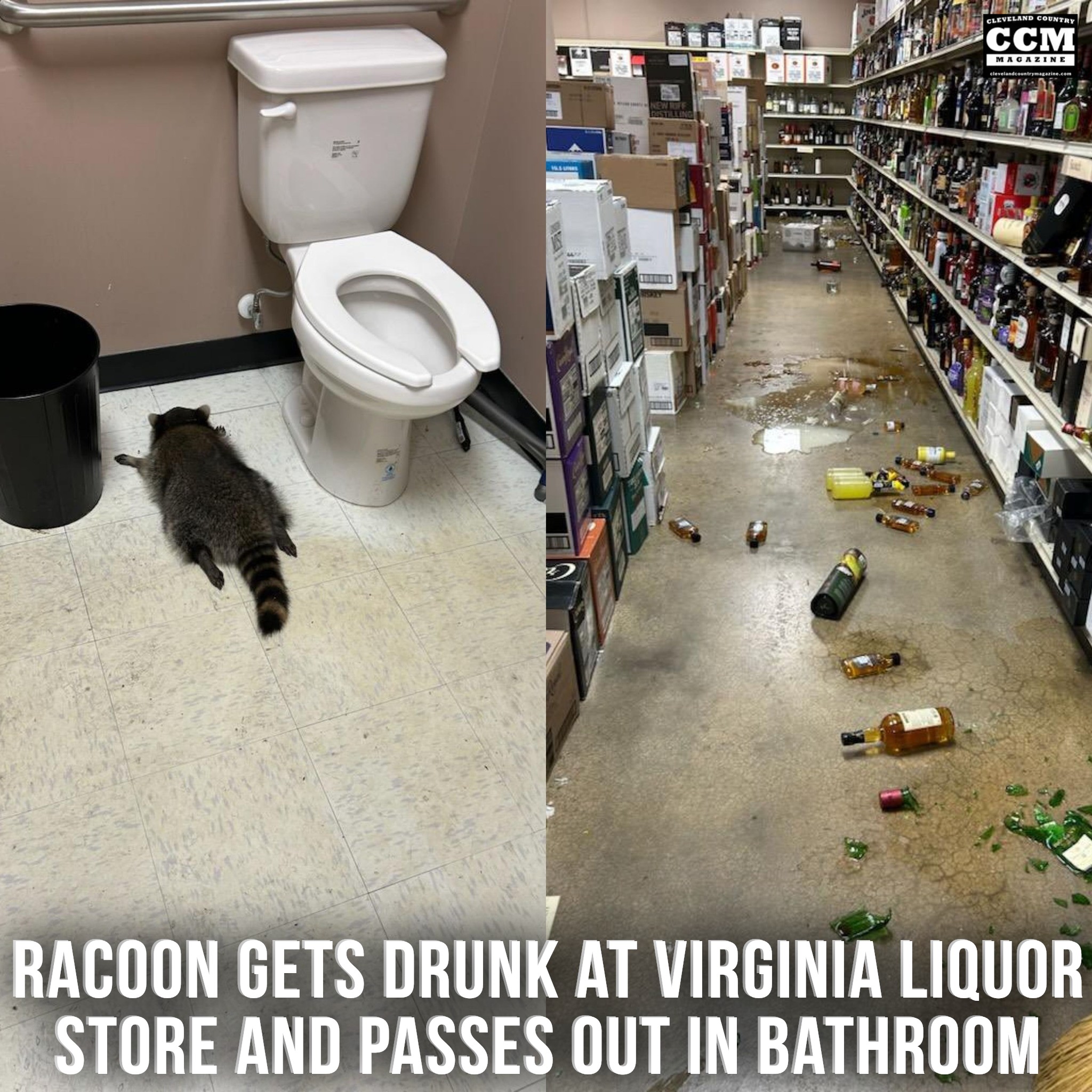 Cleveland - One Virginia liquor store had an unusual patron -- an ...
