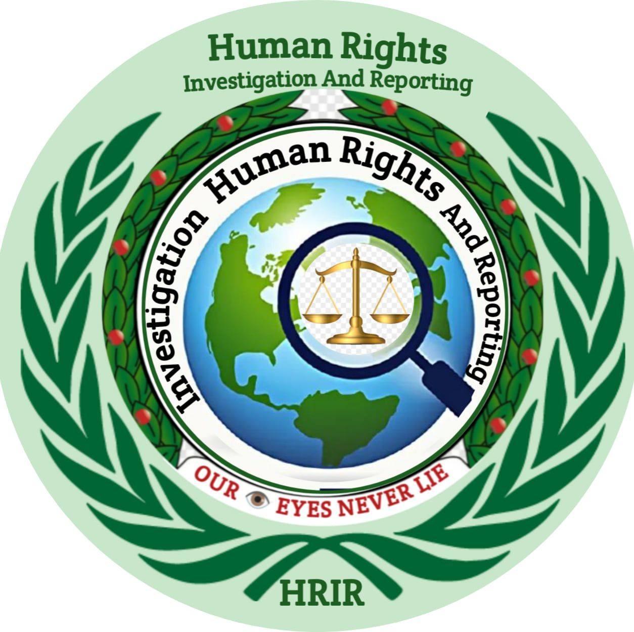 Human Rights... - Human Rights Investigation And Reporting
