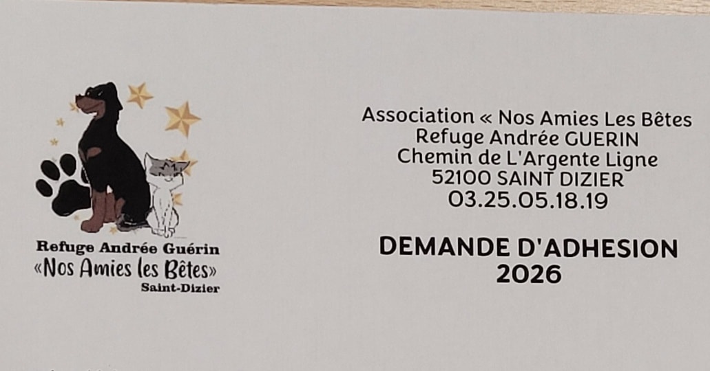 Pièce de monnaie de défi Donald Trump, pièce de monnaie commémorative du président Donald Trump, Trump Back America