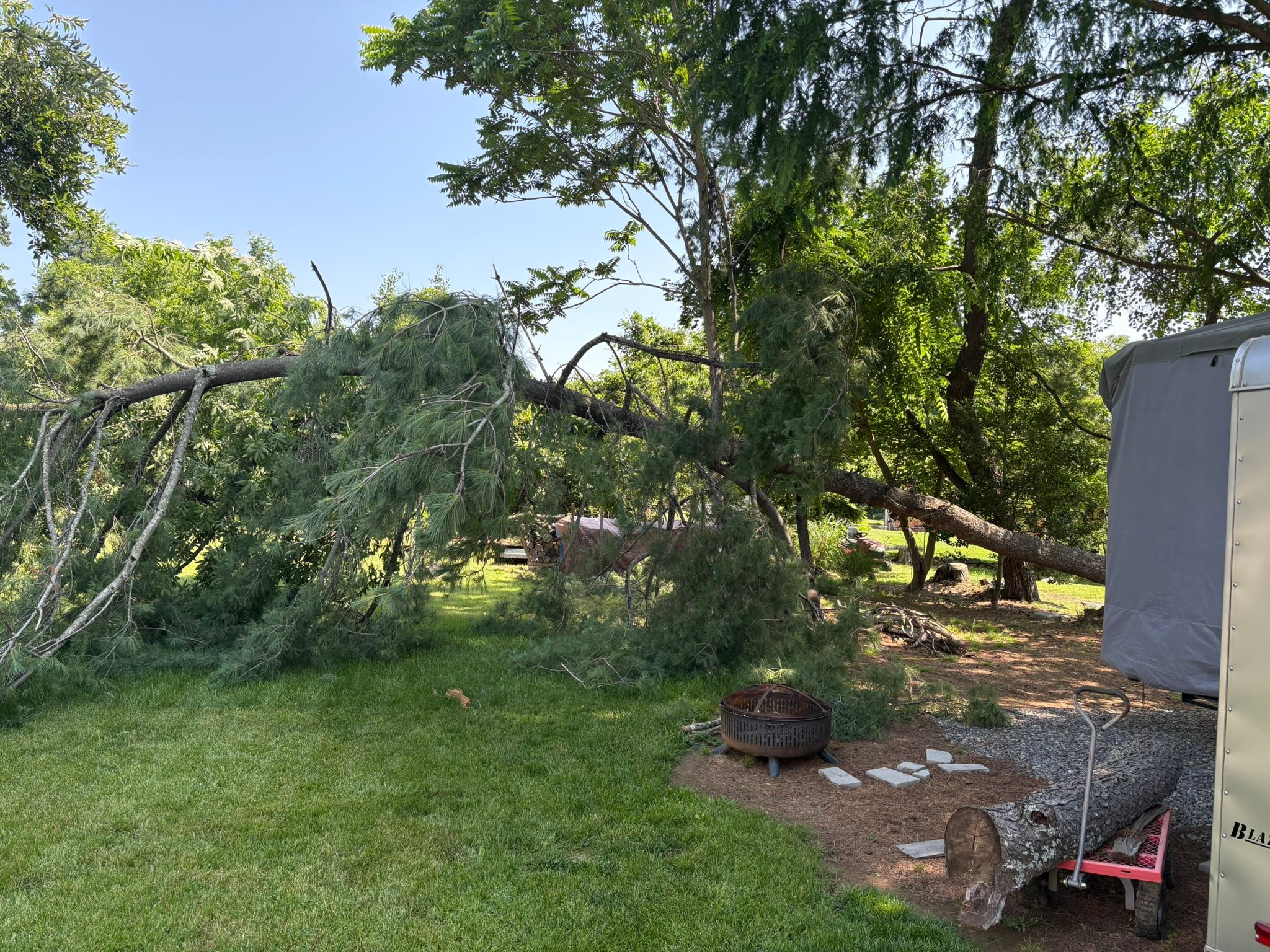 Timber Ridge Tree Service LLC