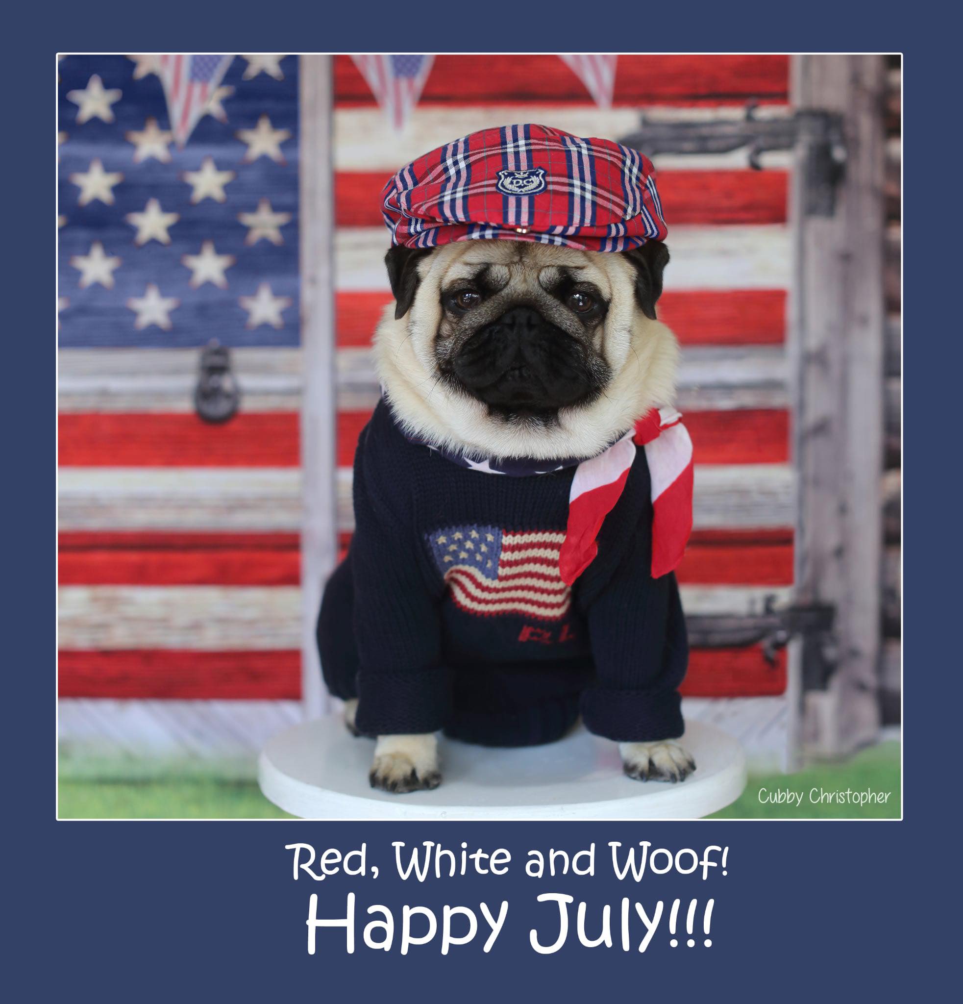 Pugs - Happy July everyone! ️🤍💙Love you all to pieces!!! 😘🥰😍🤗 xoxo ...