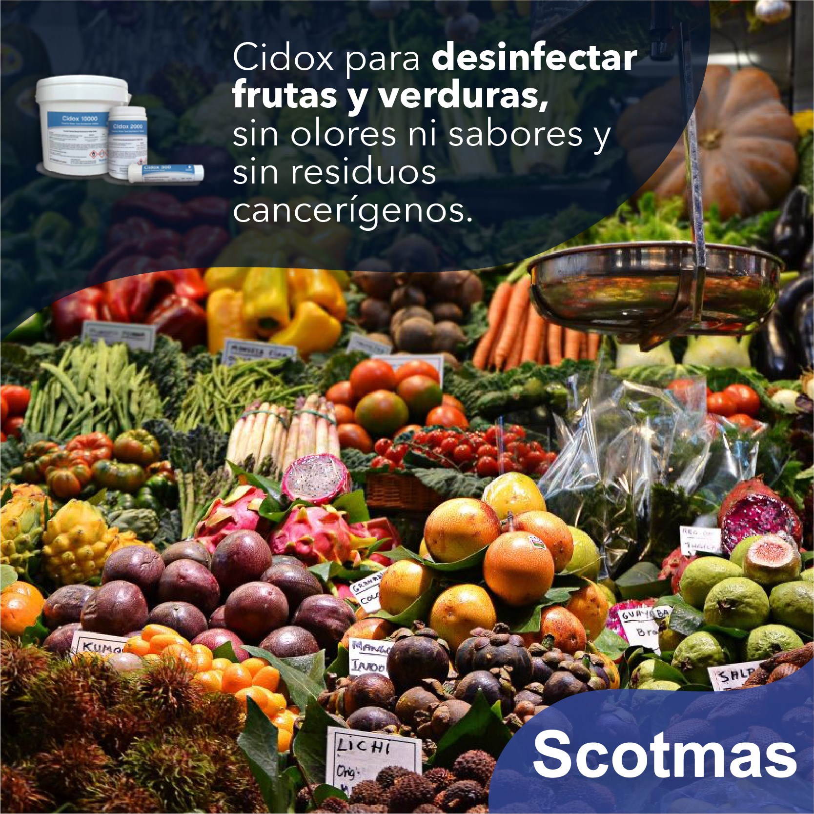Cuida de los alimentos que... - Scotmas Centroamerica | Facebook