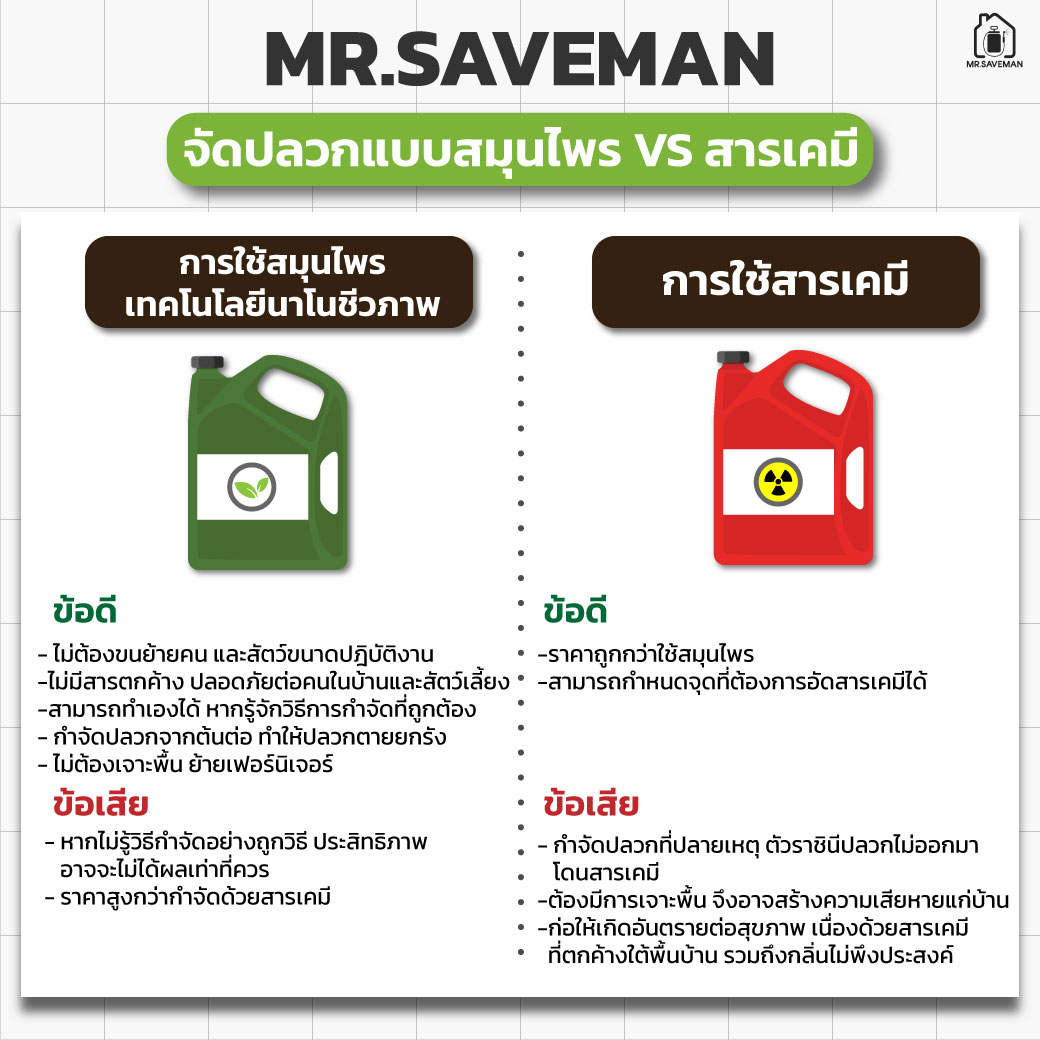 Mr.SAVEMAN รับกำจัดปลวกด้วยสมุนไพร ไม่ใช้เคมี ปลอดภัยต่อคนและสัตว์ ...