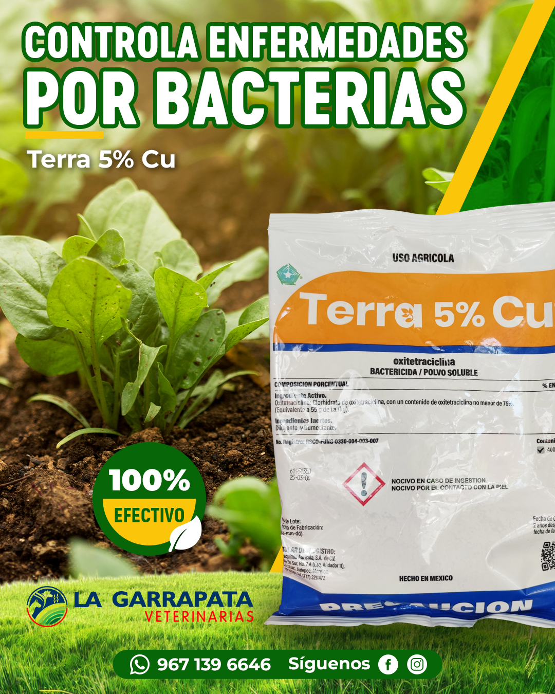 La Garrapata Veterinarias | San Cristóbal de Las Casas