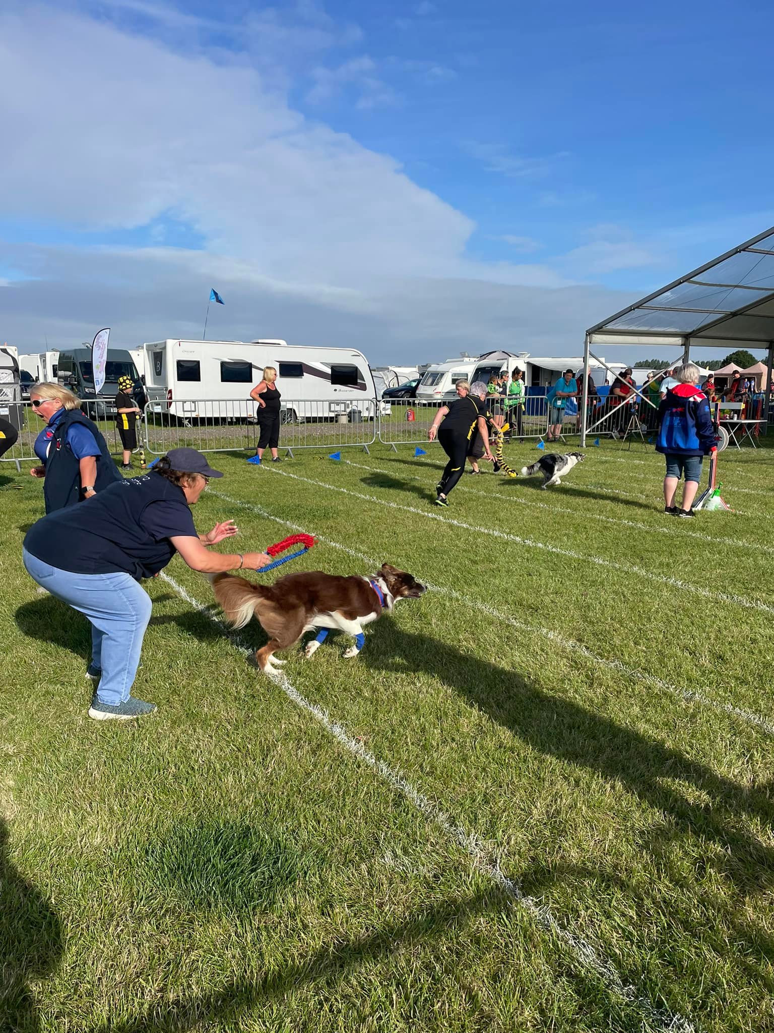 Racing Herts Flyball Team
